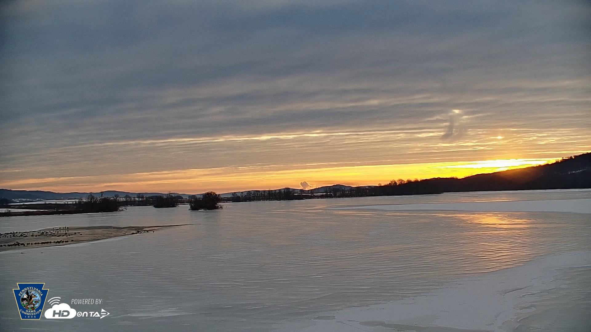 Snapshot of Pennsylvania Snow Geese Live Webcam taken Feb 6, 2026, 7:41am EST