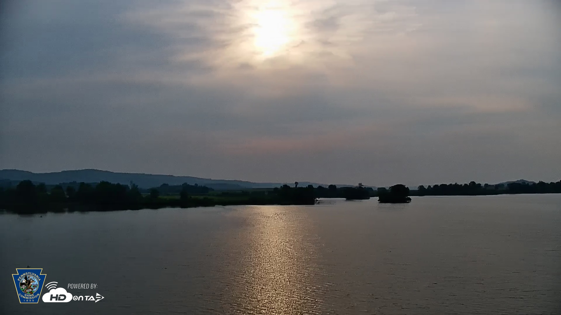 Snapshot of Pennsylvania Snow Geese Live Webcam taken Jun 13, 2025, 7:15am EDT