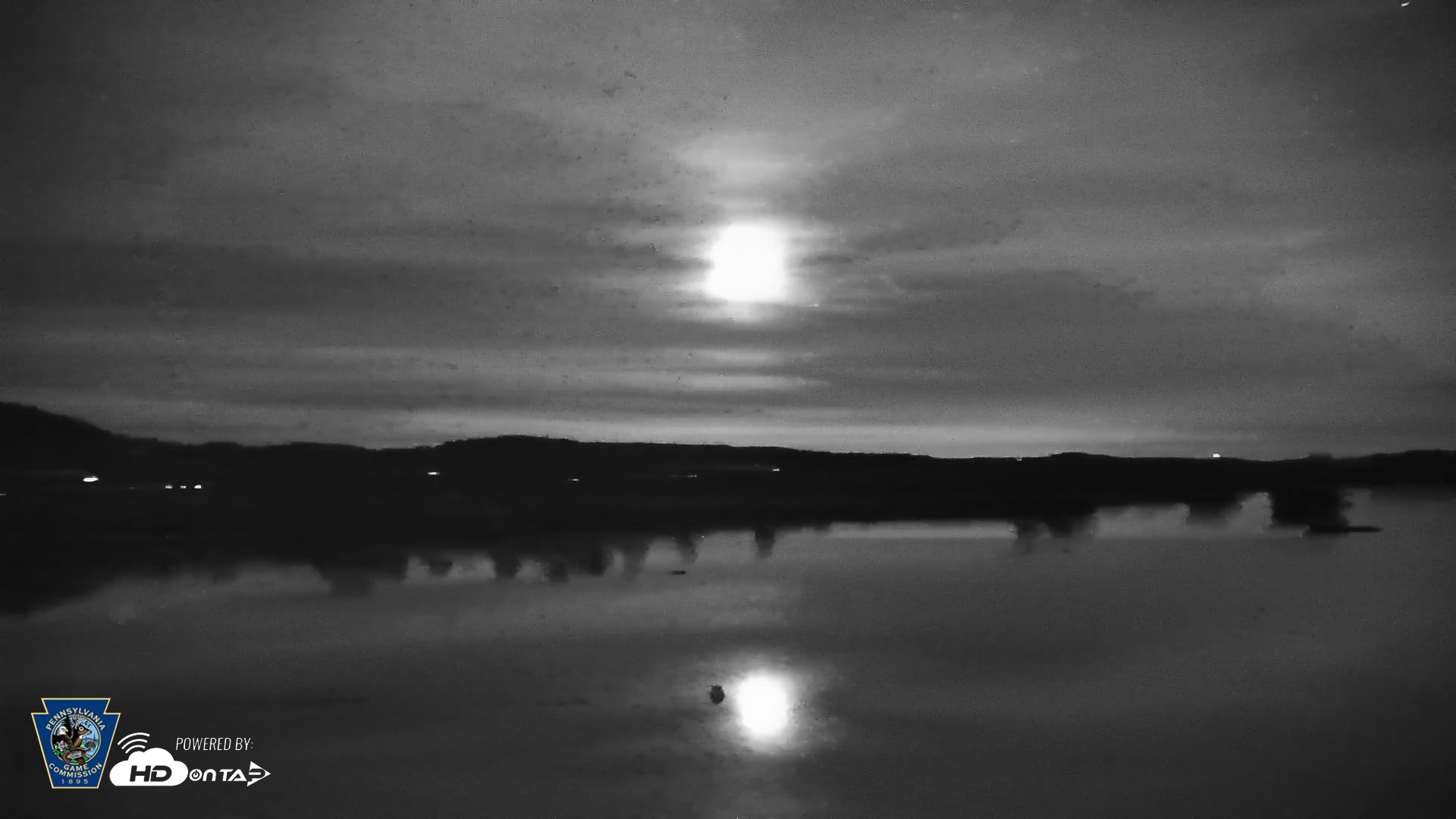 Snapshot of Pennsylvania Snow Geese Live Webcam taken Nov 6, 2025, 6:32pm EST