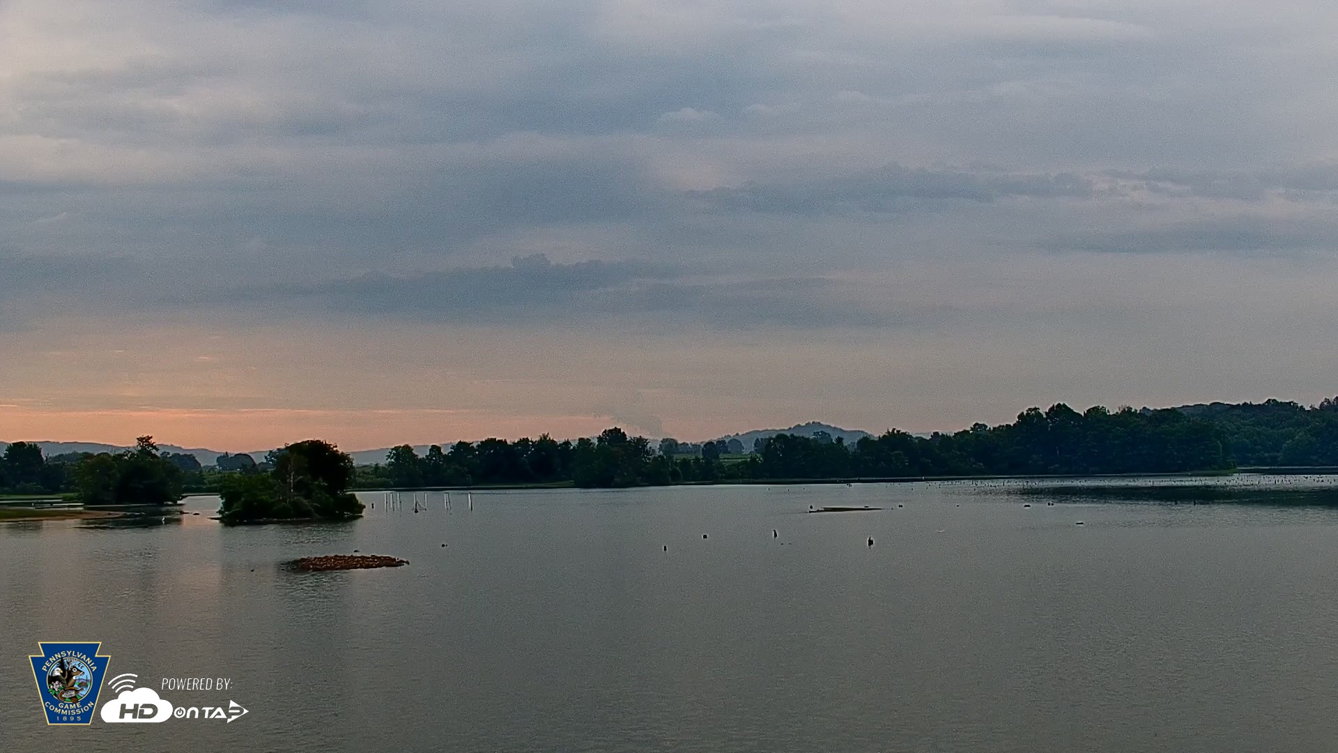 Snapshot of Pennsylvania Snow Geese Live Webcam taken Aug 20, 2026, 8:59am EDT
