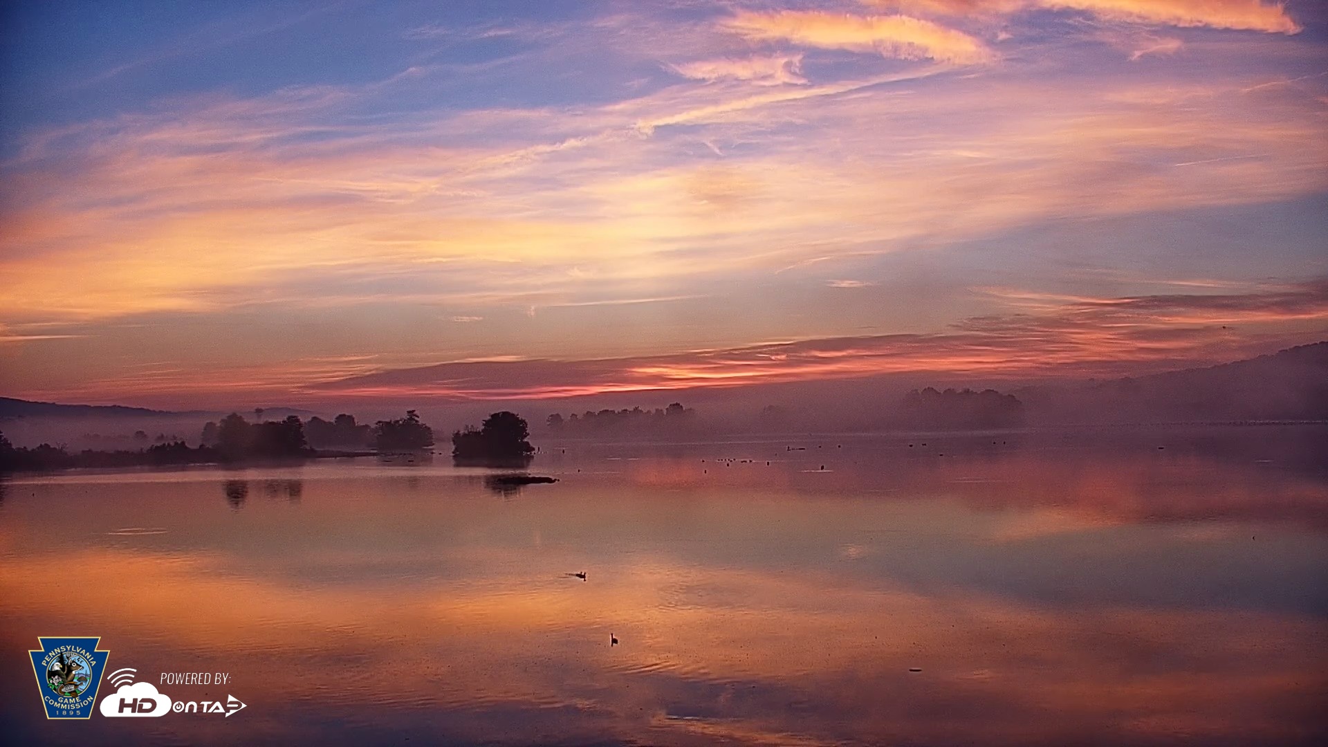 Snapshot of Pennsylvania Snow Geese Live Webcam taken Oct 2, 2026, 6:53am EDT