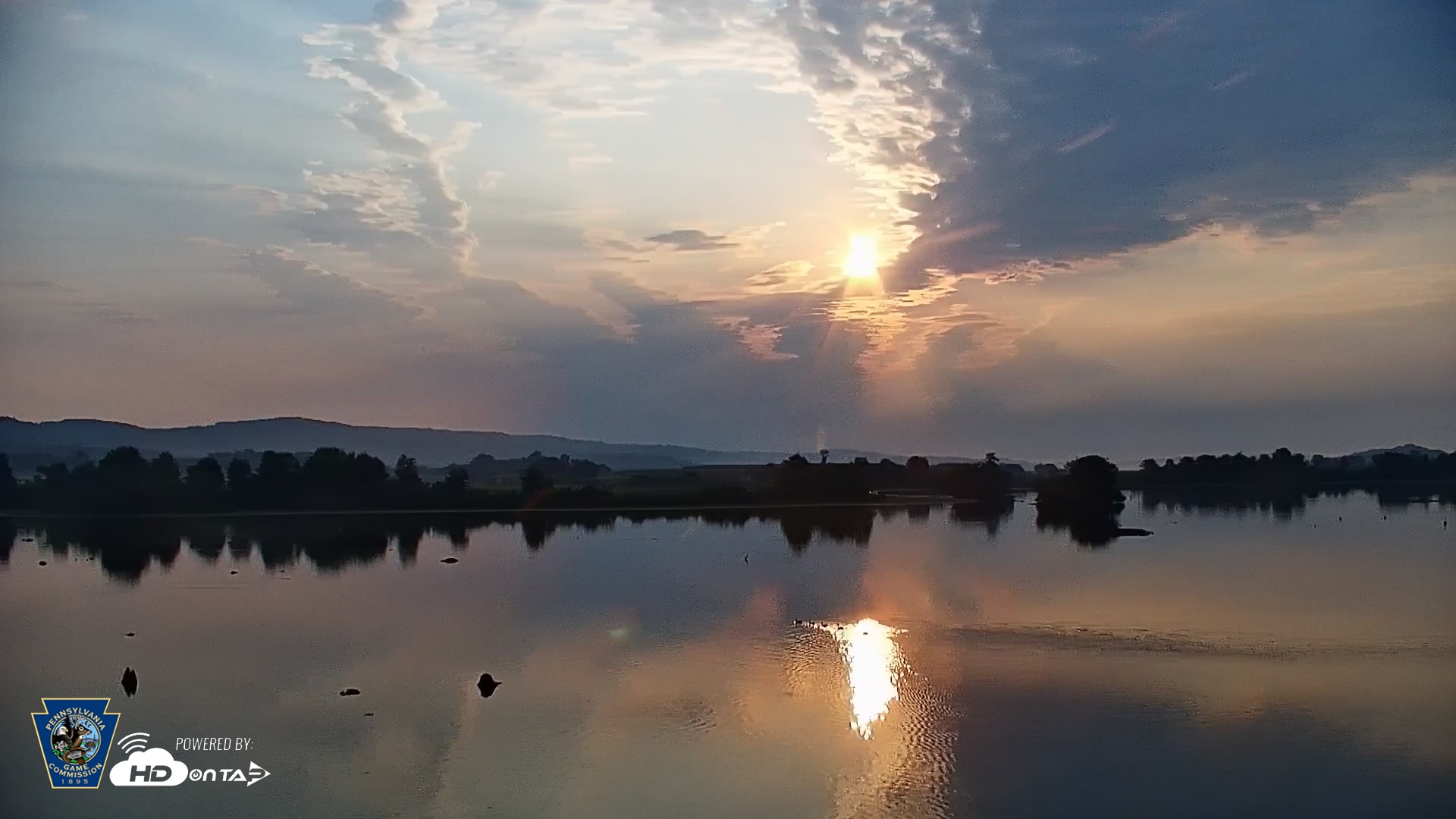 Snapshot of Pennsylvania Snow Geese Live Webcam taken Aug 12, 2026, 7:04am EDT