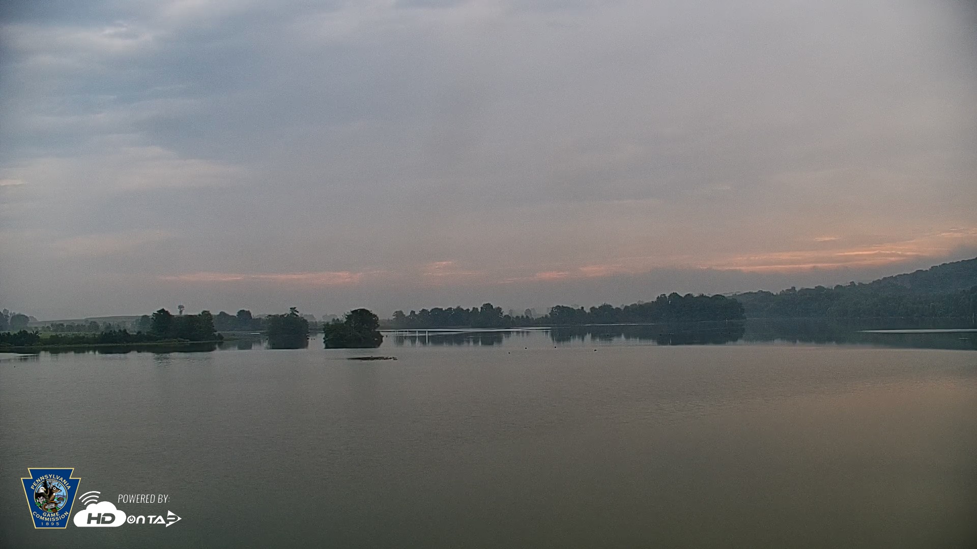 Snapshot of Pennsylvania Snow Geese Live Webcam taken Sep 1, 2026, 8:22am EDT