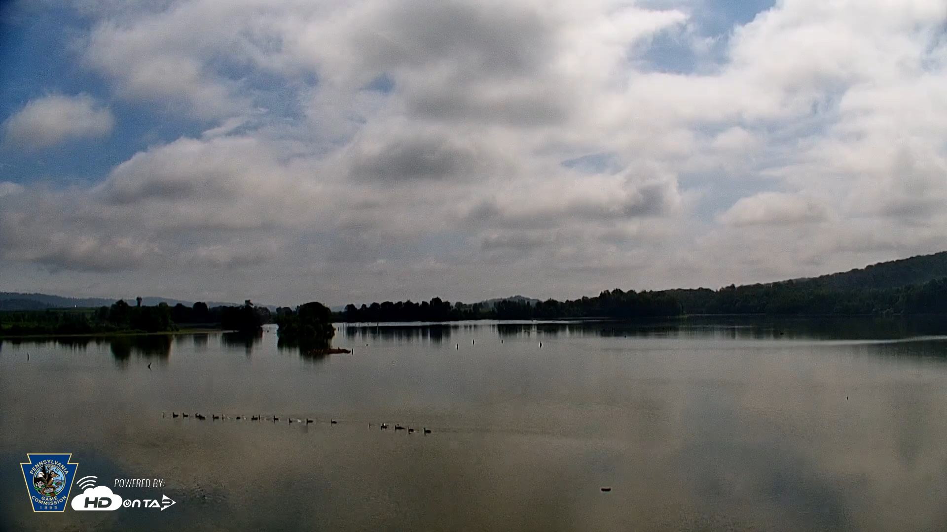 Snapshot of Pennsylvania Snow Geese Live Webcam taken Aug 17, 2026, 11:08am EDT