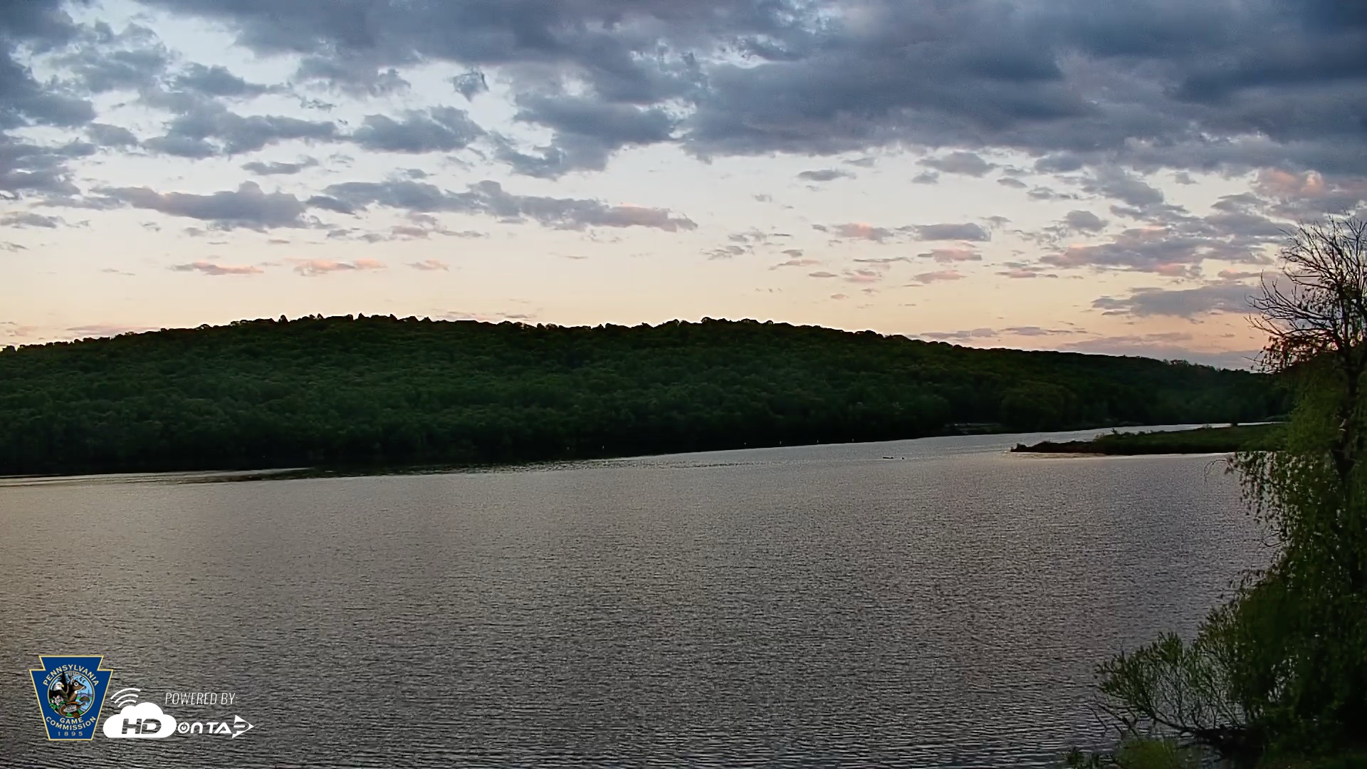 Snapshot of Pennsylvania Snow Geese Live Webcam taken May 7, 2026, 7:53pm EDT