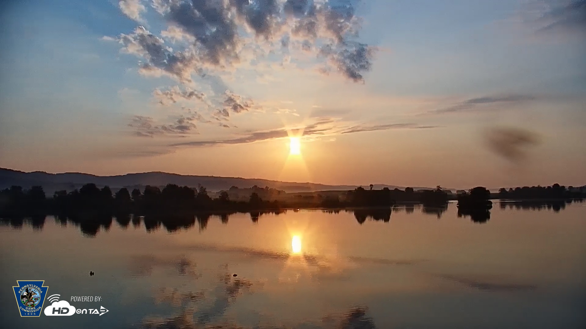 Snapshot of Pennsylvania Snow Geese Live Webcam taken Jul 25, 2025, 6:29am EDT