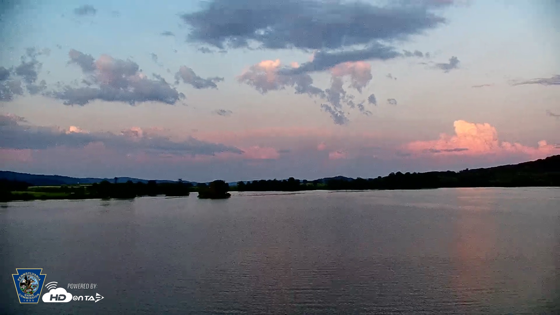 Snapshot of Pennsylvania Snow Geese Live Webcam taken Jul 3, 2025, 8:29pm EDT