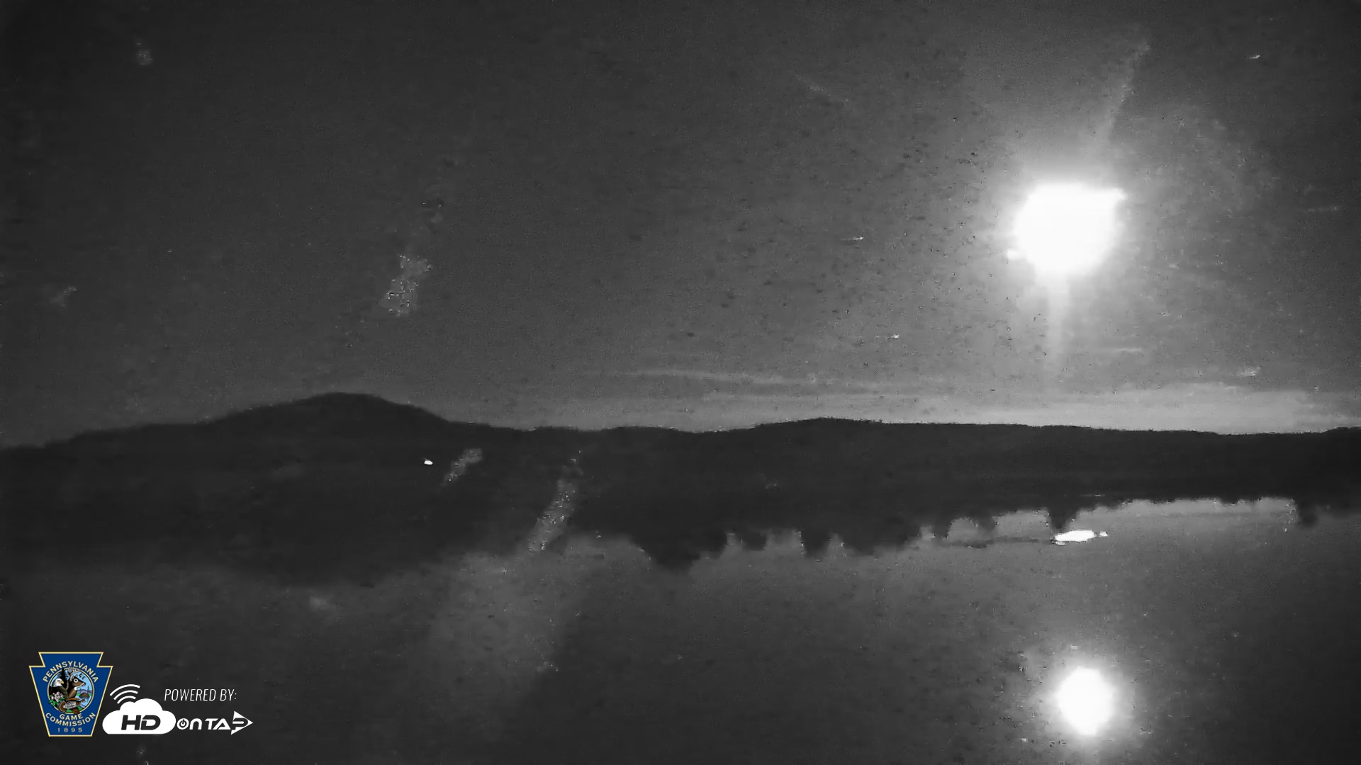 Snapshot of Pennsylvania Snow Geese Live Webcam taken Oct 30, 2026, 11:03pm EDT