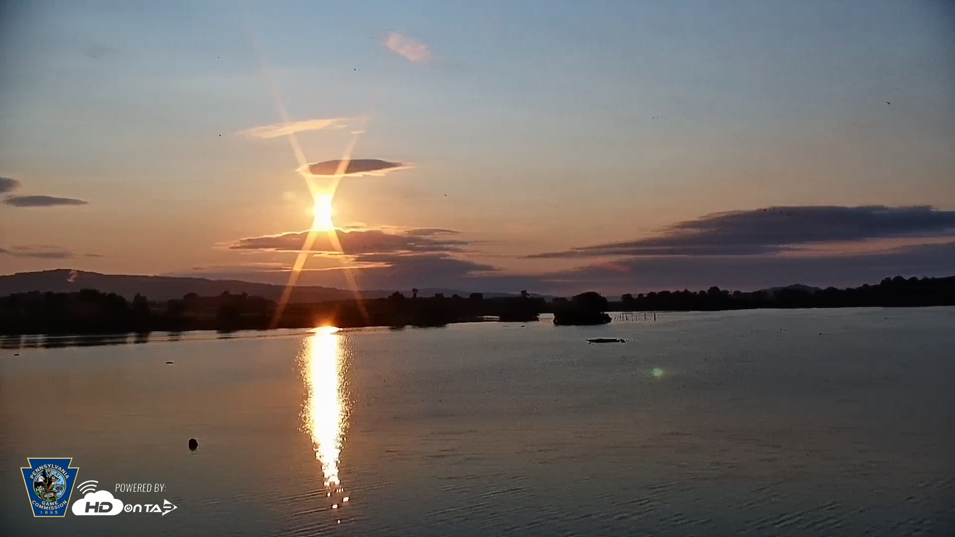 Snapshot of Pennsylvania Snow Geese Live Webcam taken Jul 29, 2026, 6:37am EDT