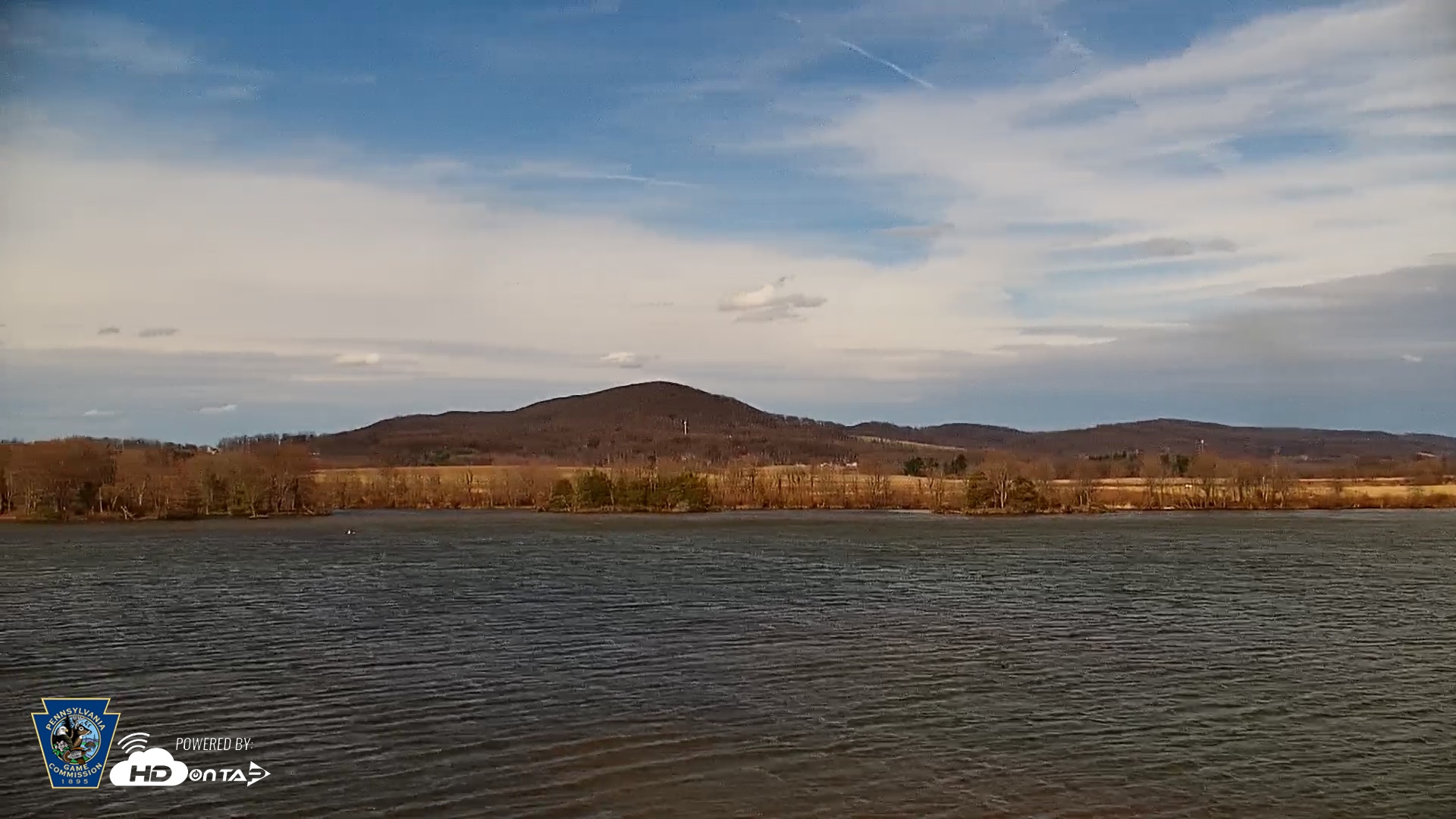 Snapshot of Pennsylvania Snow Geese Live Webcam taken Mar 13, 2026, 4:09pm EDT
