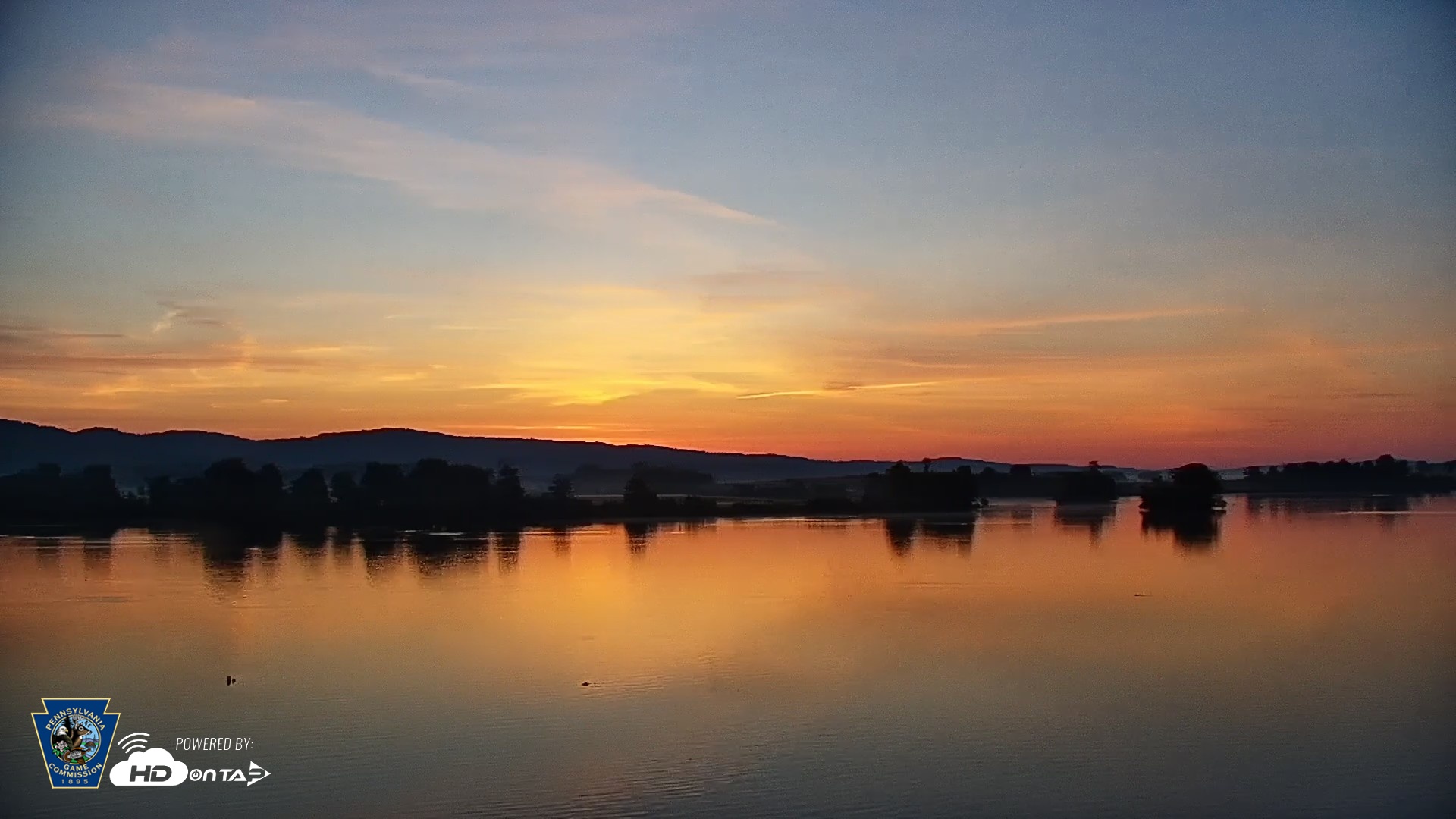 Snapshot of Pennsylvania Snow Geese Live Webcam taken May 18, 2026, 5:42am EDT