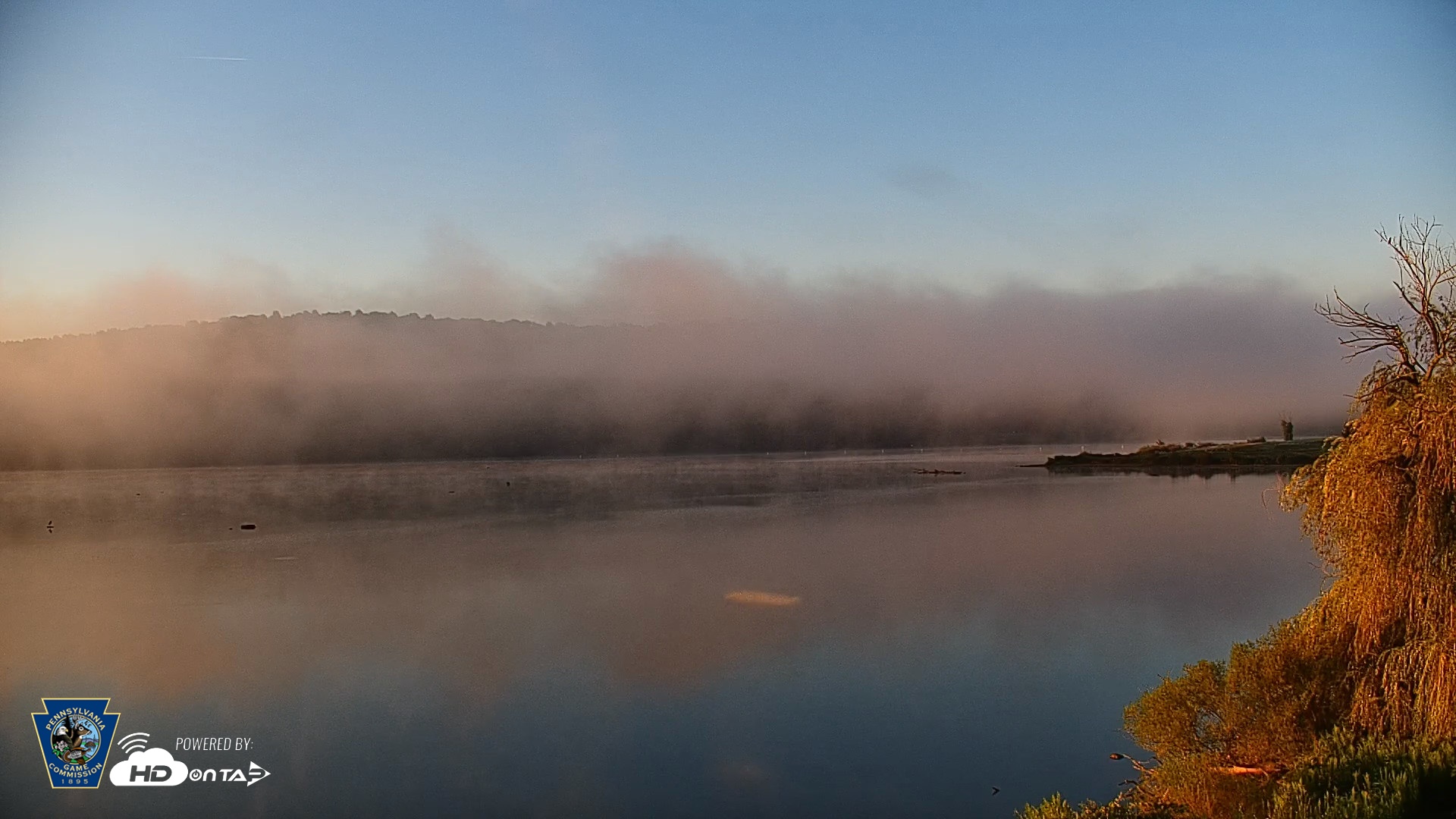 Snapshot of Pennsylvania Snow Geese Live Webcam taken Aug 26, 2026, 6:49am EDT