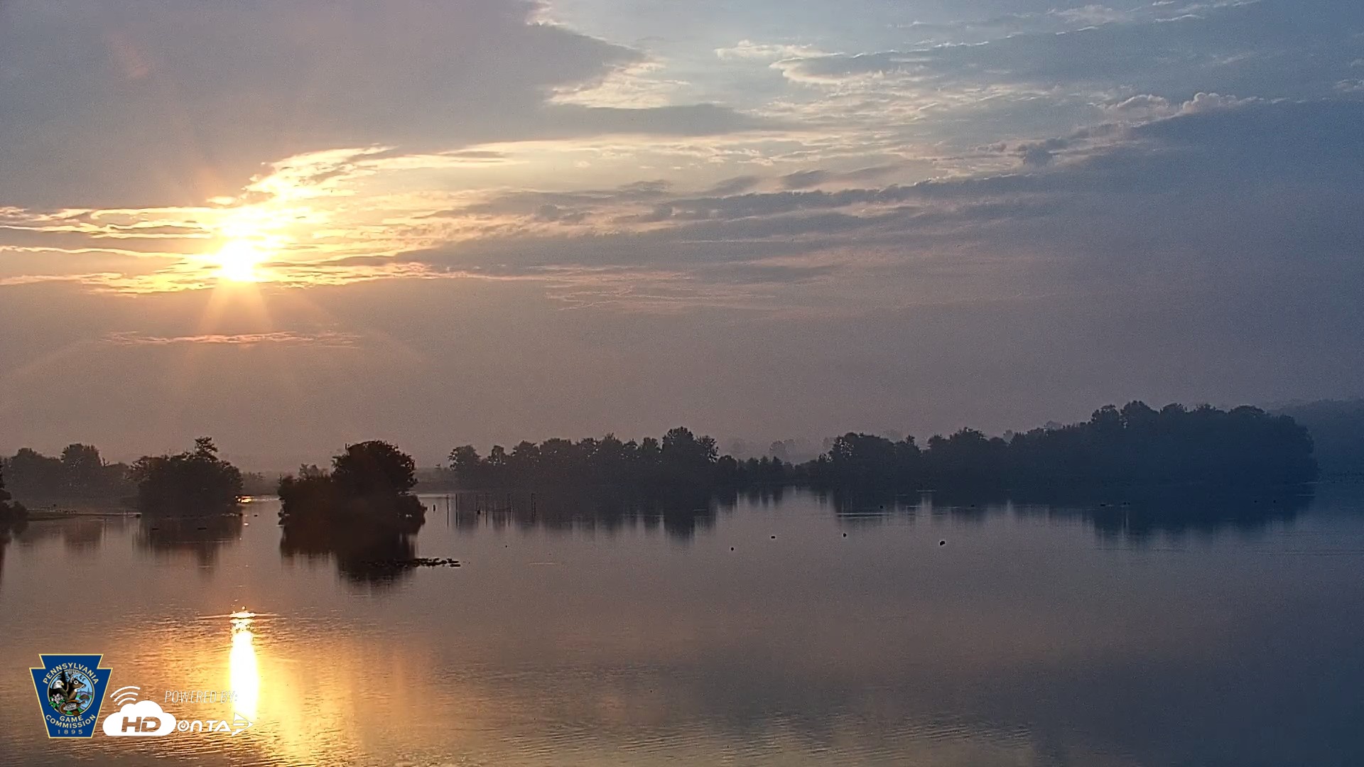 Snapshot of Pennsylvania Snow Geese Live Webcam taken Sep 1, 2026, 7:03am EDT