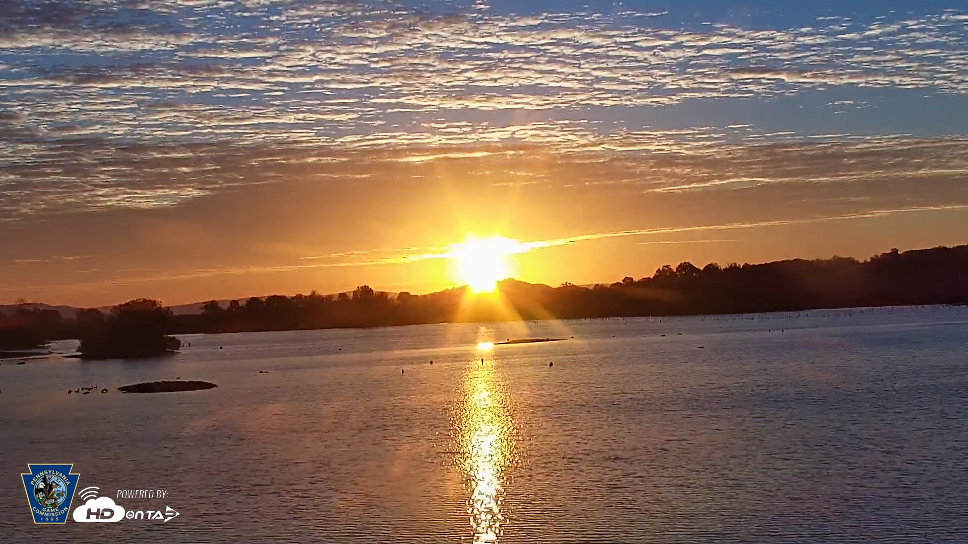 Snapshot of Pennsylvania Snow Geese Live Webcam taken Oct 7, 2025, 7:17am EDT