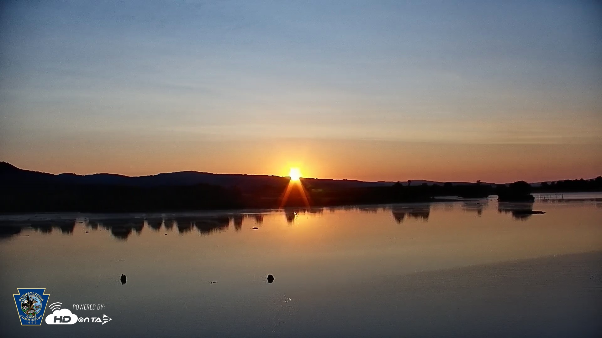 Snapshot of Pennsylvania Snow Geese Live Webcam taken Jul 24, 2026, 6:08am EDT