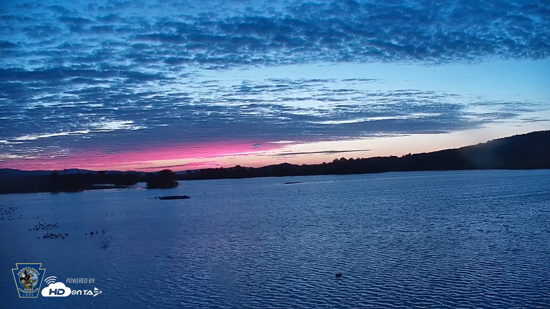 Snapshot of Pennsylvania Snow Geese Live Webcam taken Oct 7, 2025, 6:50am EDT