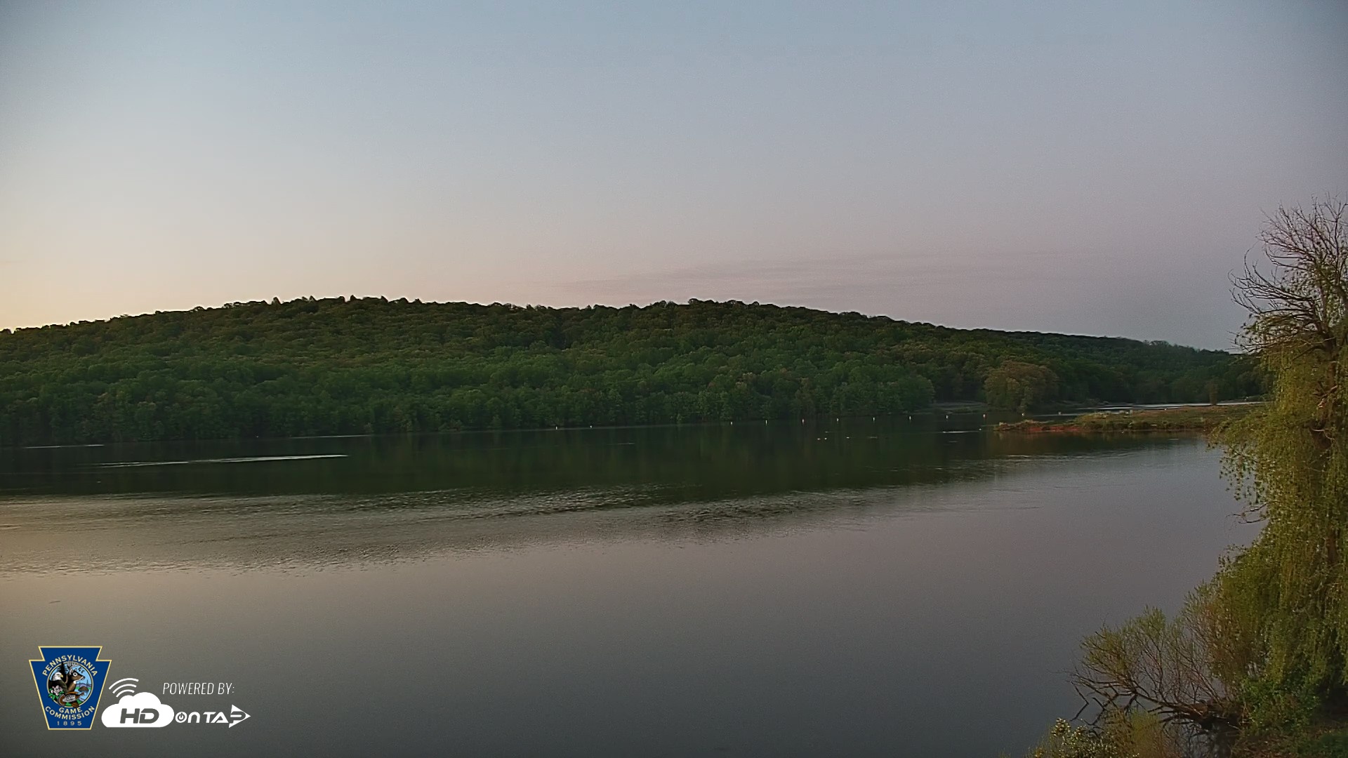 Snapshot of Pennsylvania Snow Geese Live Webcam taken May 1, 2026, 5:52am EDT