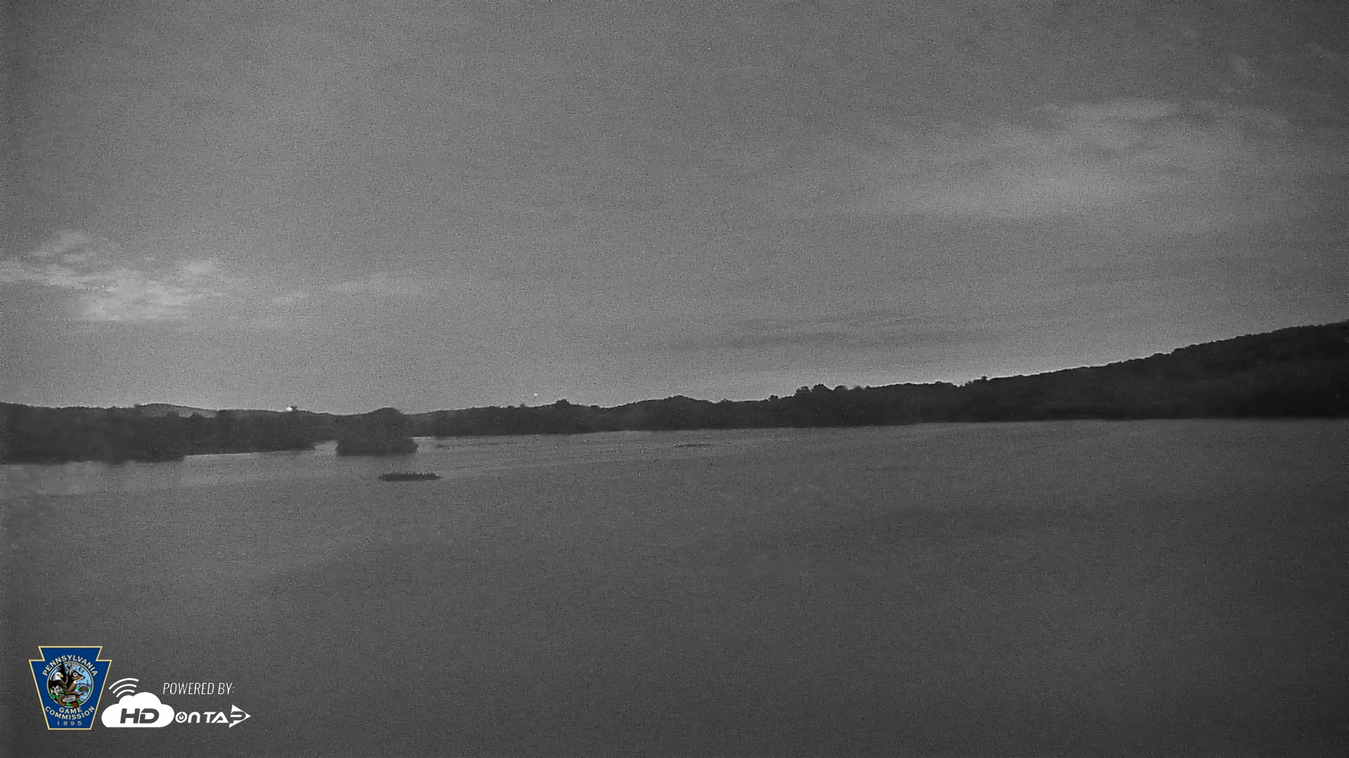 Snapshot of Pennsylvania Snow Geese Live Webcam taken Jul 22, 2026, 9:55pm EDT