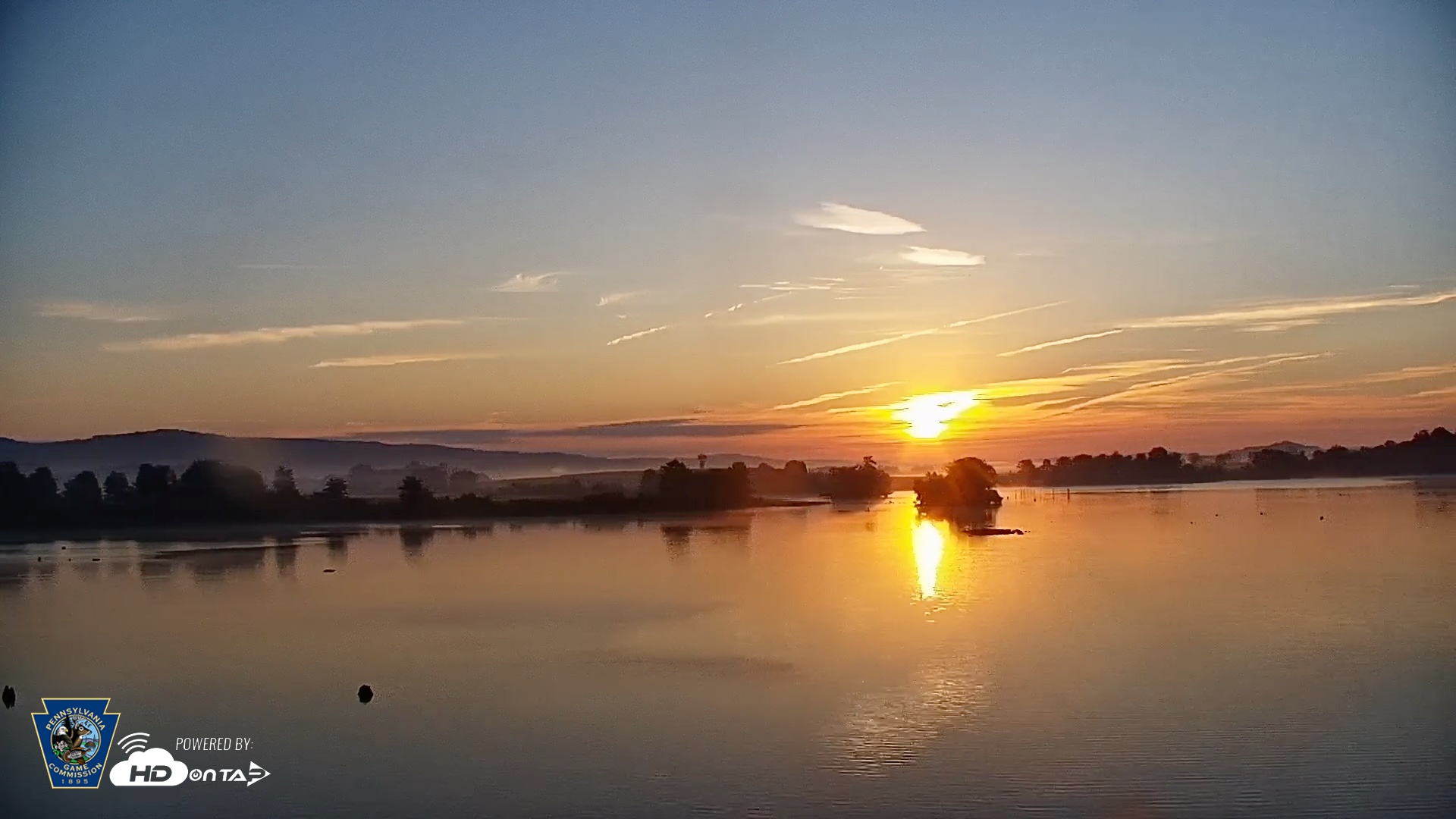 Snapshot of Pennsylvania Snow Geese Live Webcam taken Sep 9, 2026, 6:55am EDT