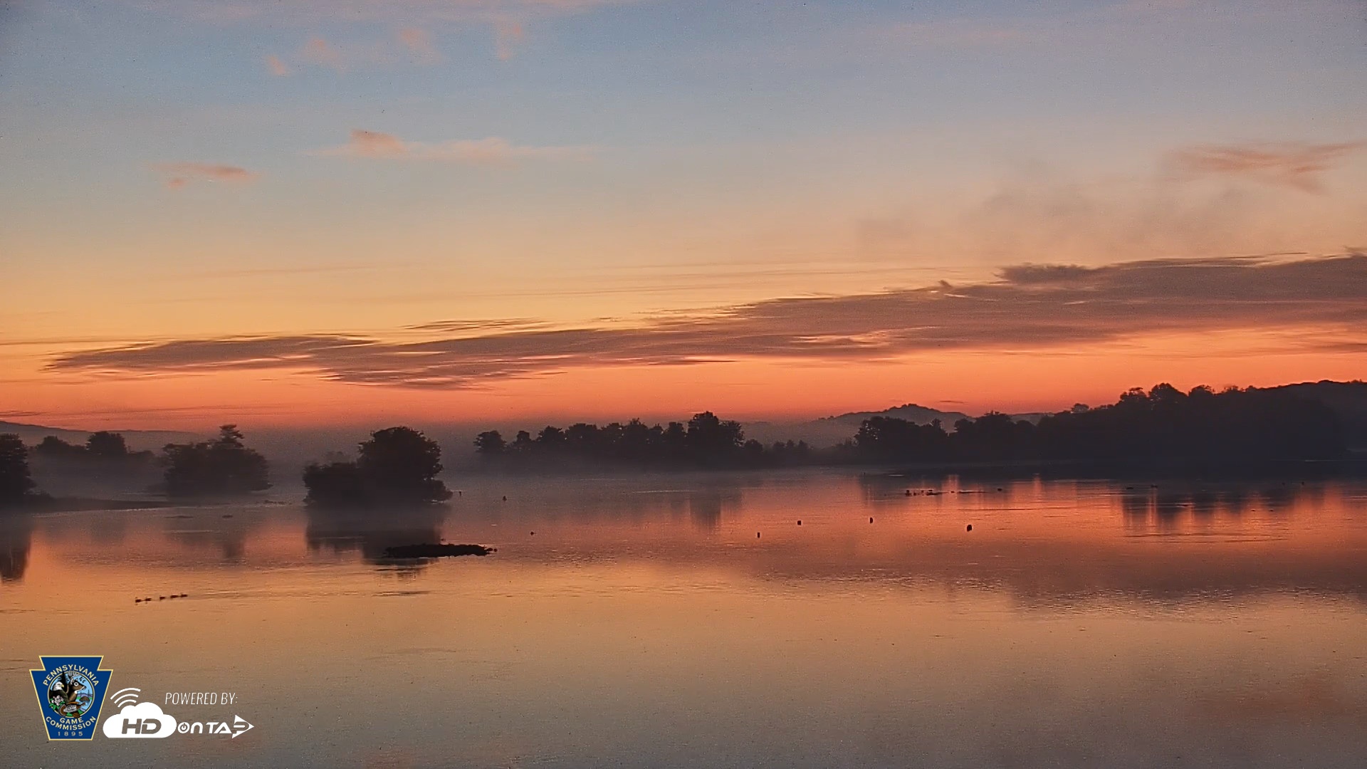 Snapshot of Pennsylvania Snow Geese Live Webcam taken Oct 2, 2026, 6:31am EDT