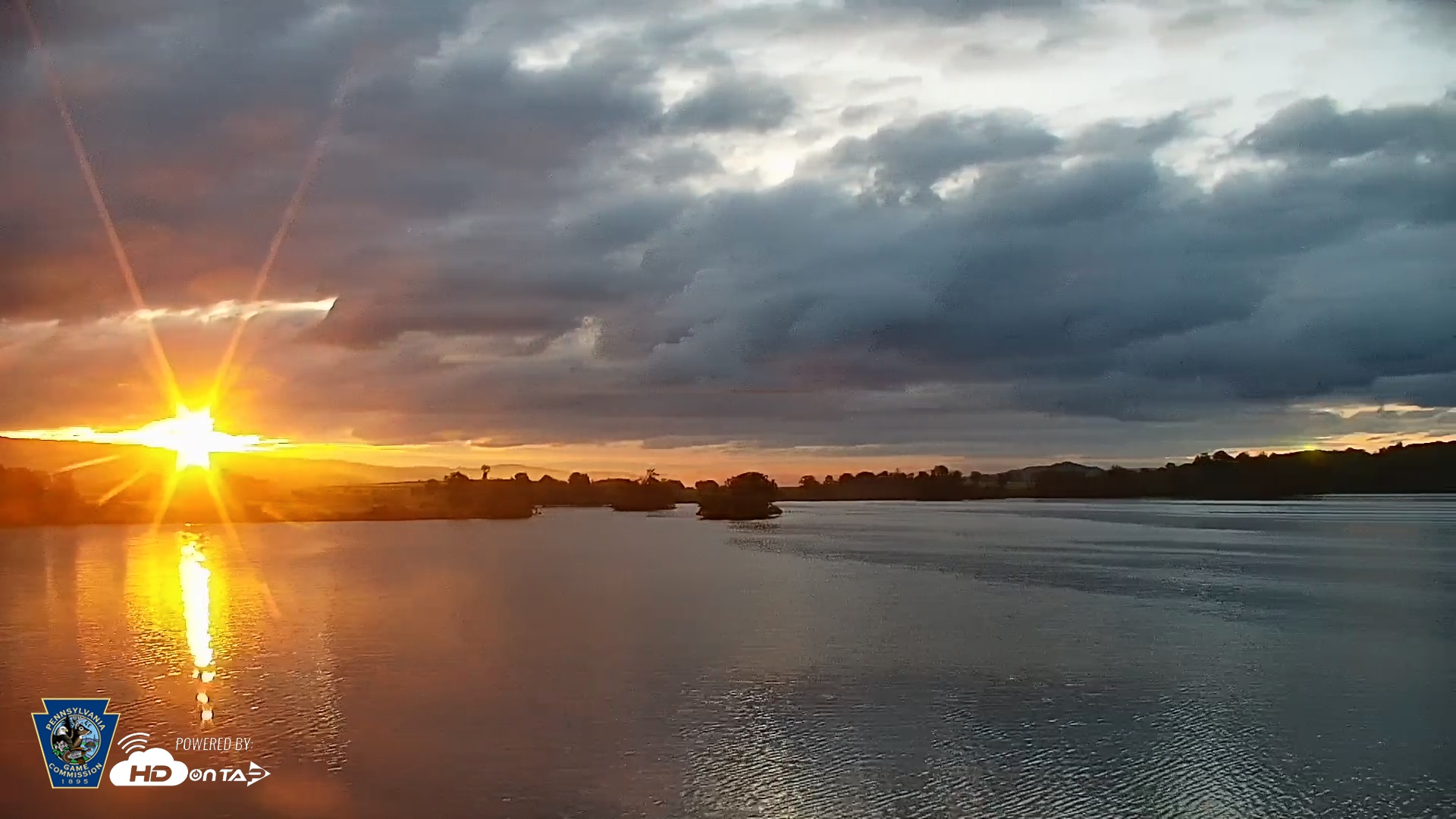 Snapshot of Pennsylvania Snow Geese Live Webcam taken May 23, 2025, 5:58am EDT