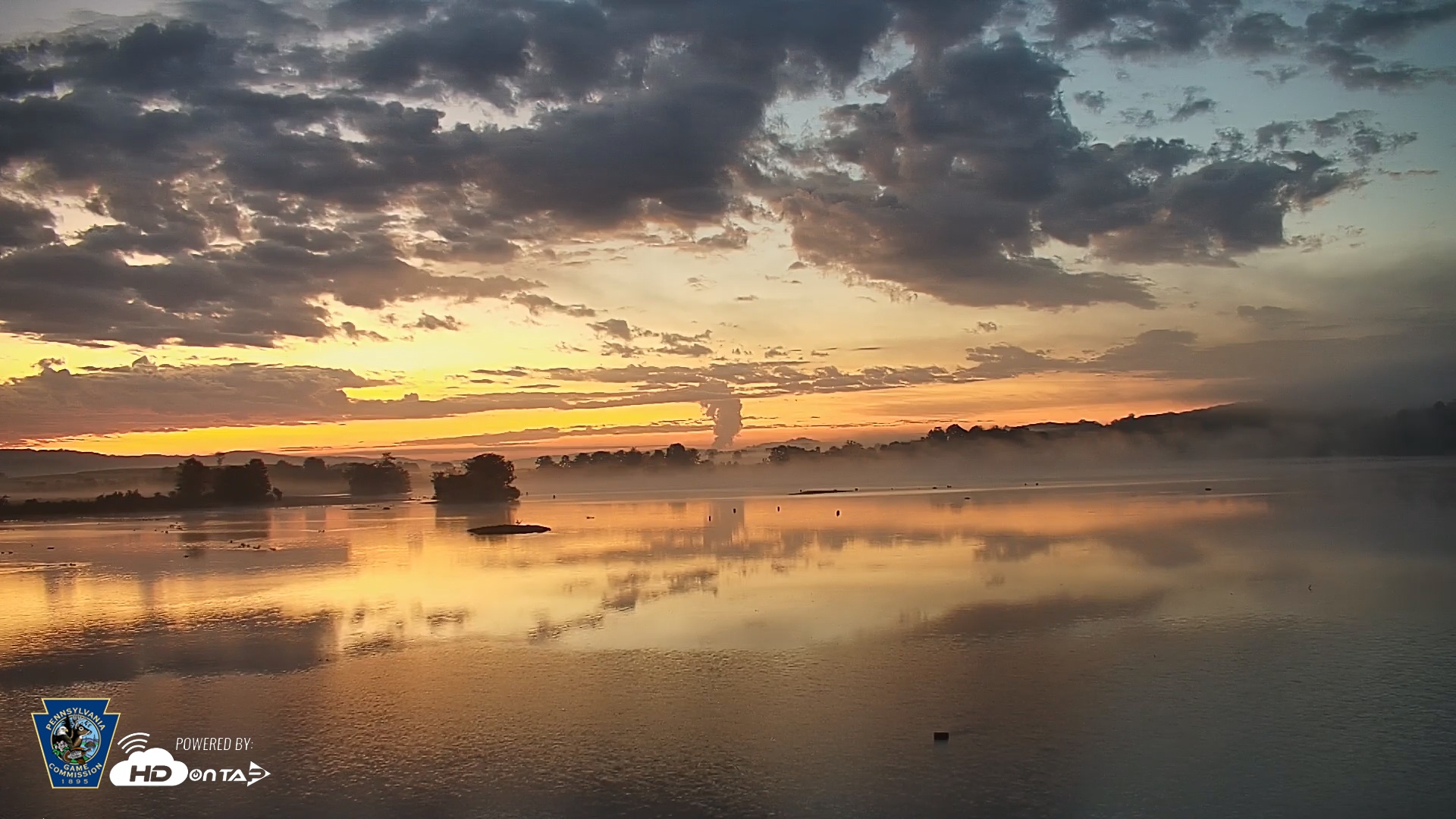 Snapshot of Pennsylvania Snow Geese Live Webcam taken Sep 3, 2025, 6:10am EDT