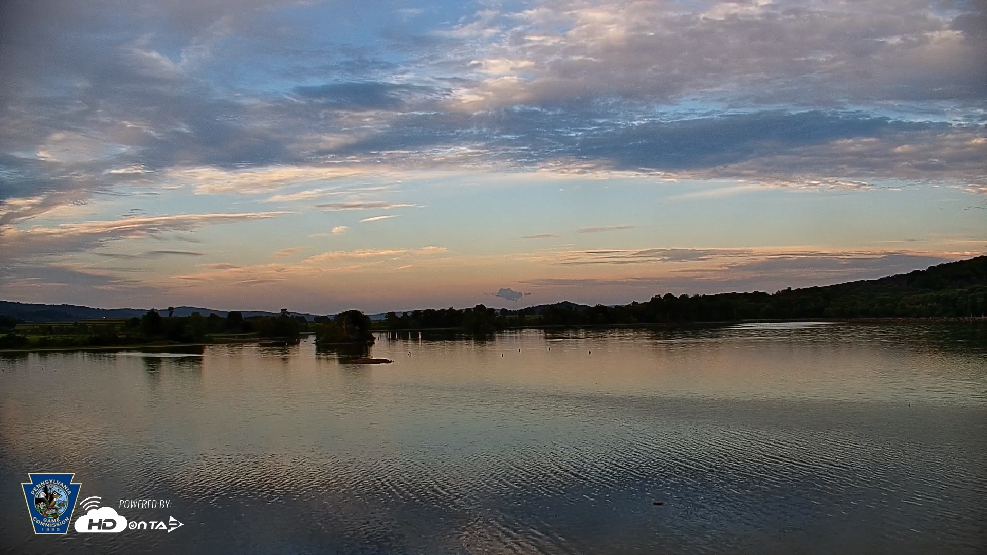 Snapshot of Pennsylvania Snow Geese Live Webcam taken Aug 21, 2026, 7:25pm EDT