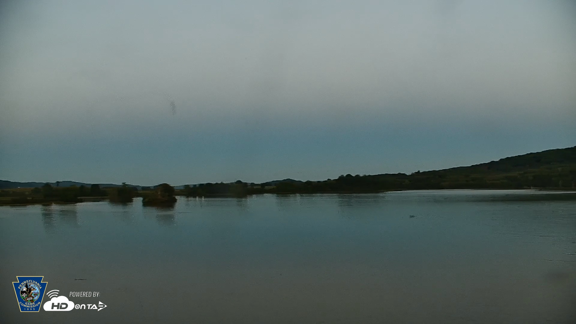 Snapshot of Pennsylvania Snow Geese Live Webcam taken Aug 29, 2026, 7:49pm EDT