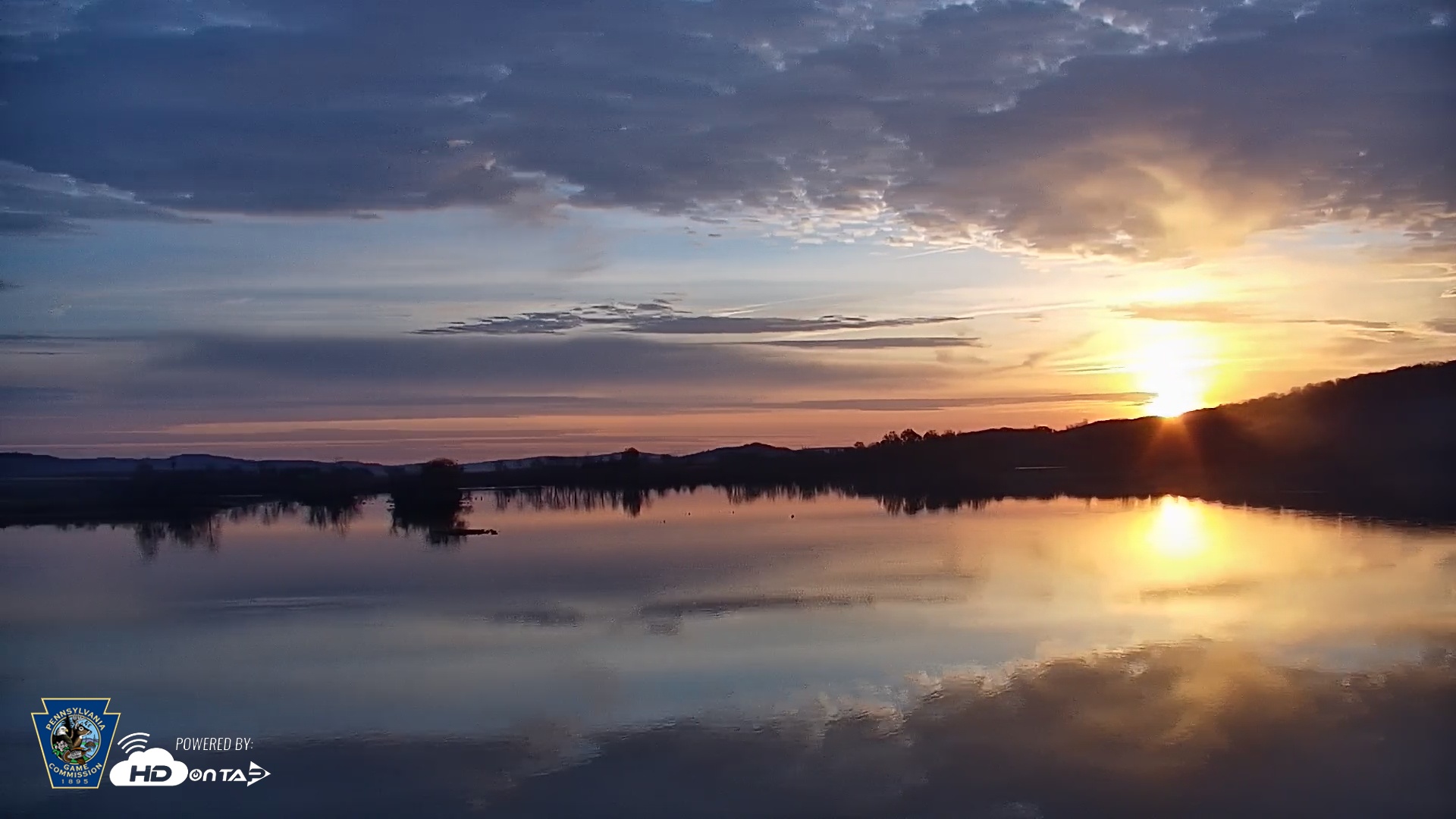 Snapshot of Pennsylvania Snow Geese Live Webcam taken Nov 15, 2025, 7:03am EST