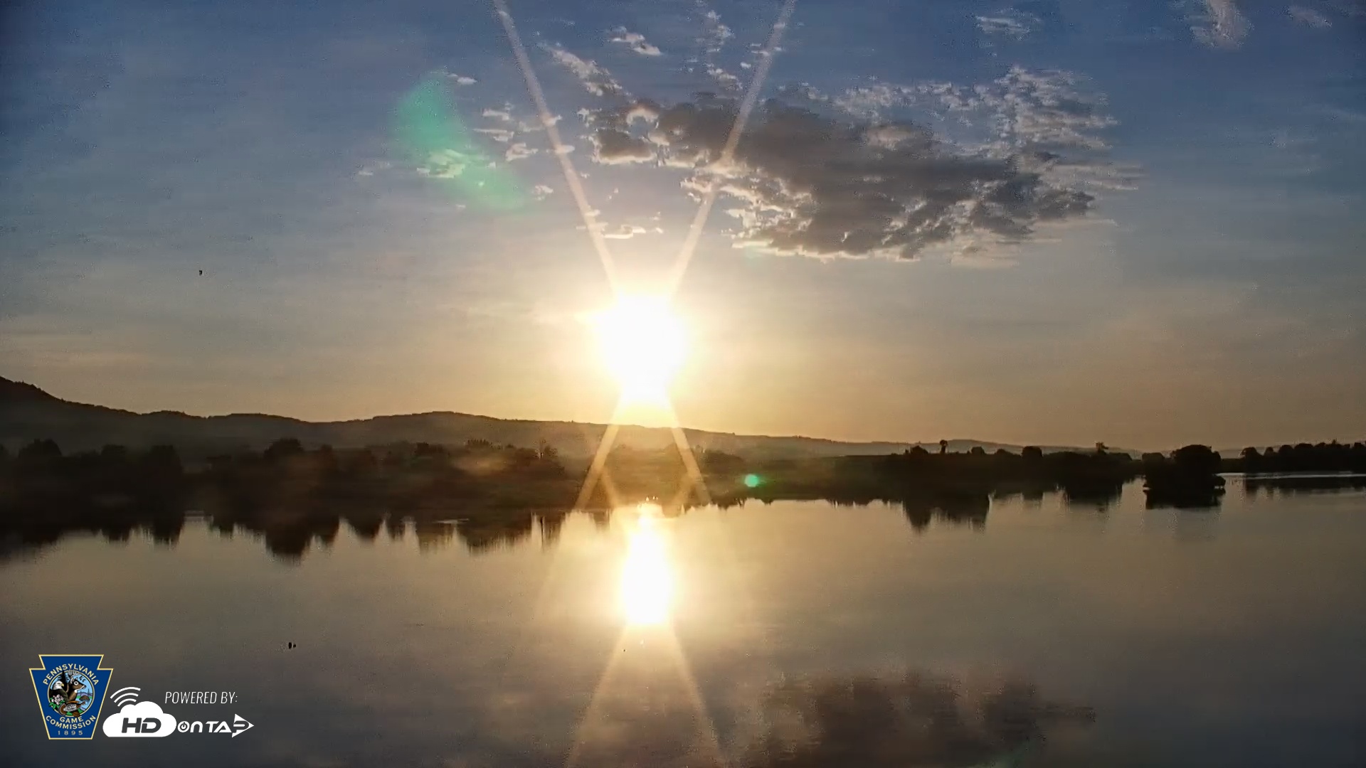 Snapshot of Pennsylvania Snow Geese Live Webcam taken Jun 26, 2025, 6:11am EDT