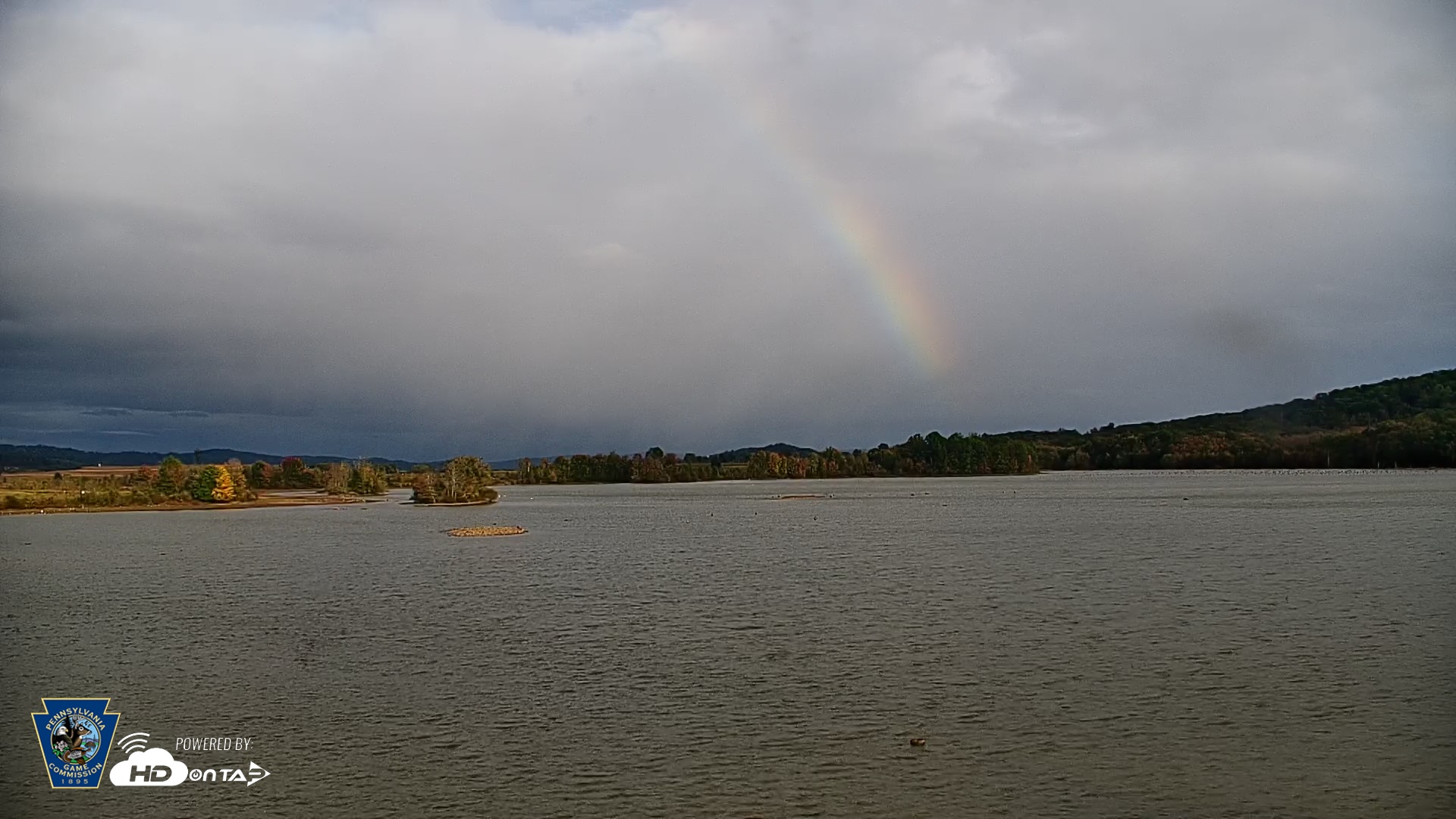 Snapshot of Pennsylvania Snow Geese Live Webcam taken Oct 12, 2025, 5:12pm EDT