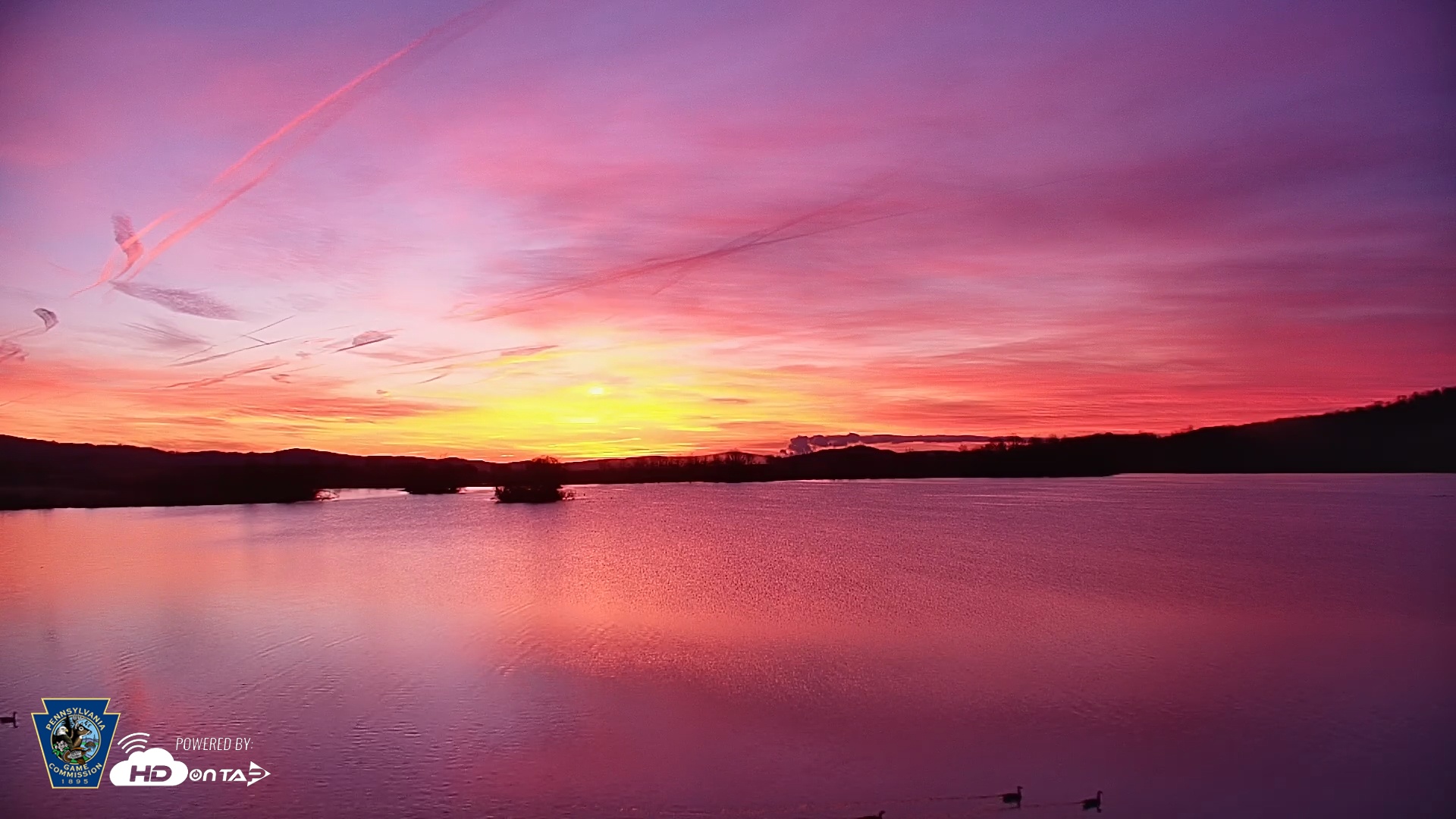 Snapshot of Pennsylvania Snow Geese Live Webcam taken Mar 18, 2026, 7:00am EDT