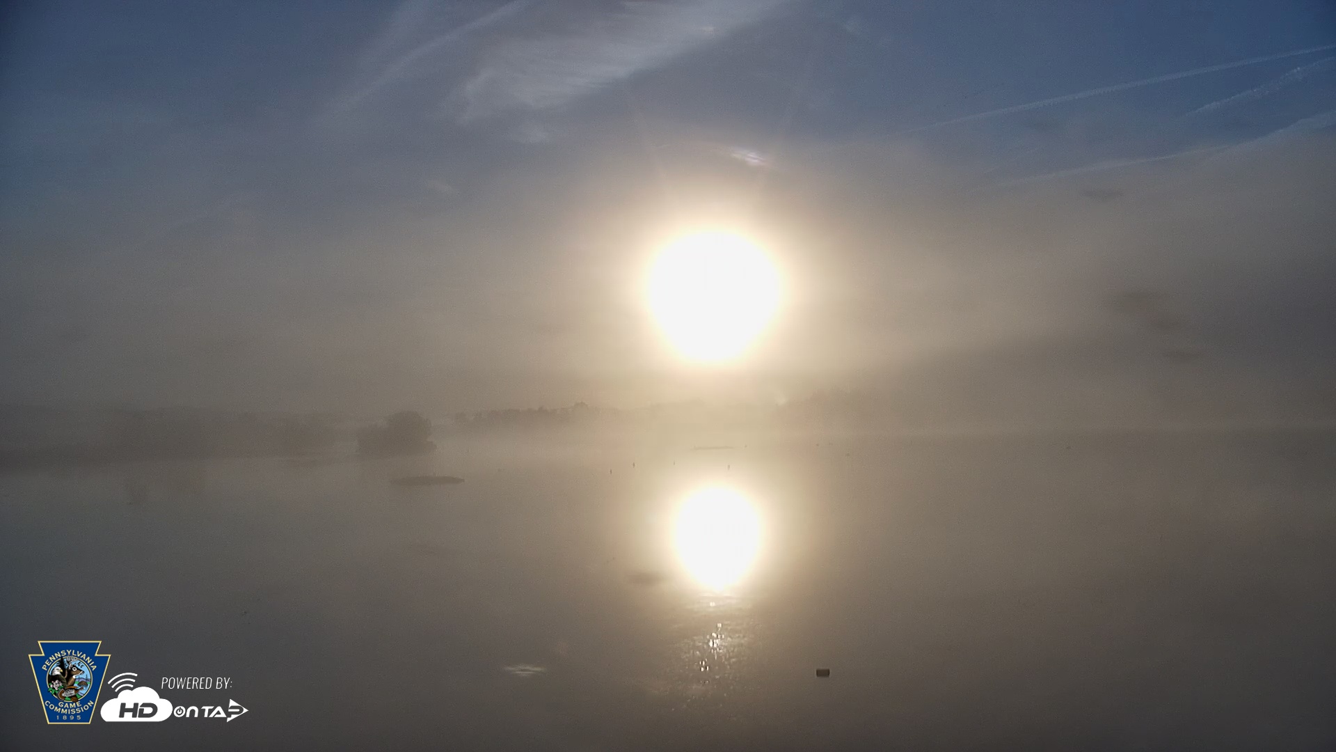 Snapshot of Pennsylvania Snow Geese Live Webcam taken Oct 3, 2025, 7:37am EDT