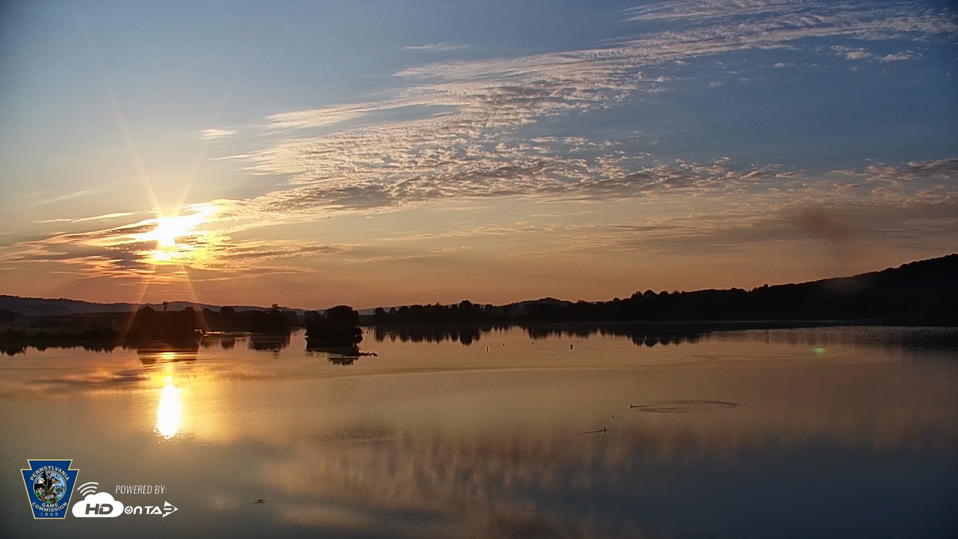 Snapshot of Pennsylvania Snow Geese Live Webcam taken Aug 15, 2025, 6:48am EDT
