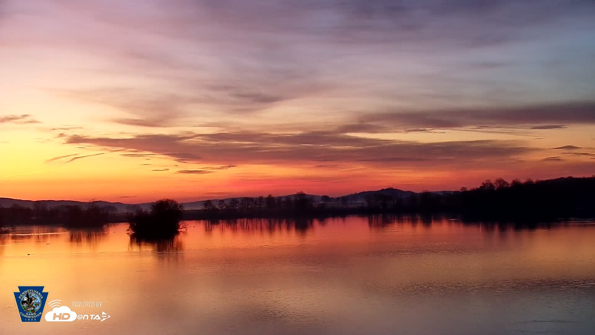 Snapshot of Pennsylvania Snow Geese Live Webcam taken Apr 14, 2026, 6:04am EDT