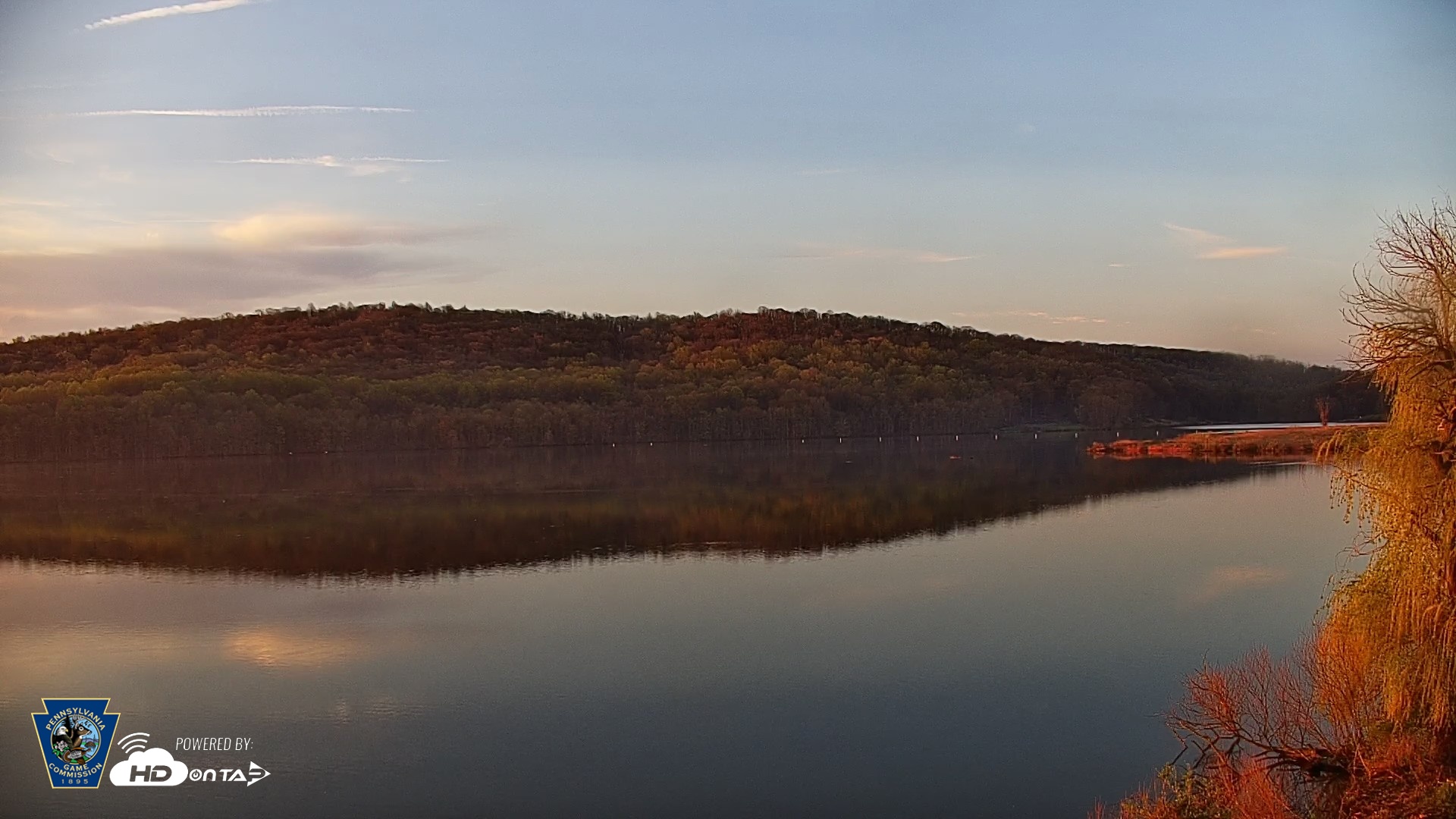 Snapshot of Pennsylvania Snow Geese Live Webcam taken Apr 14, 2026, 6:42am EDT