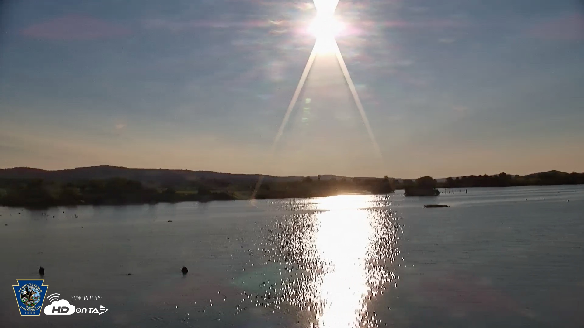 Snapshot of Pennsylvania Snow Geese Live Webcam taken Jul 23, 2026, 7:28am EDT