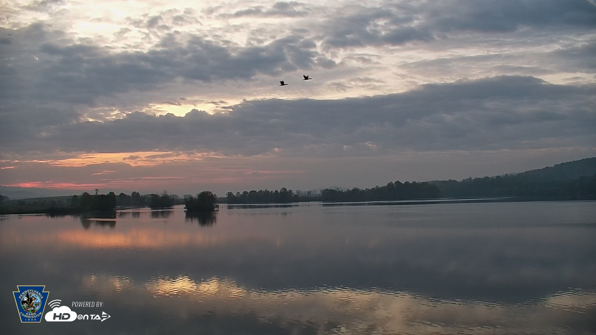 Snapshot of Pennsylvania Snow Geese Live Webcam taken May 2, 2025, 6:05am EDT