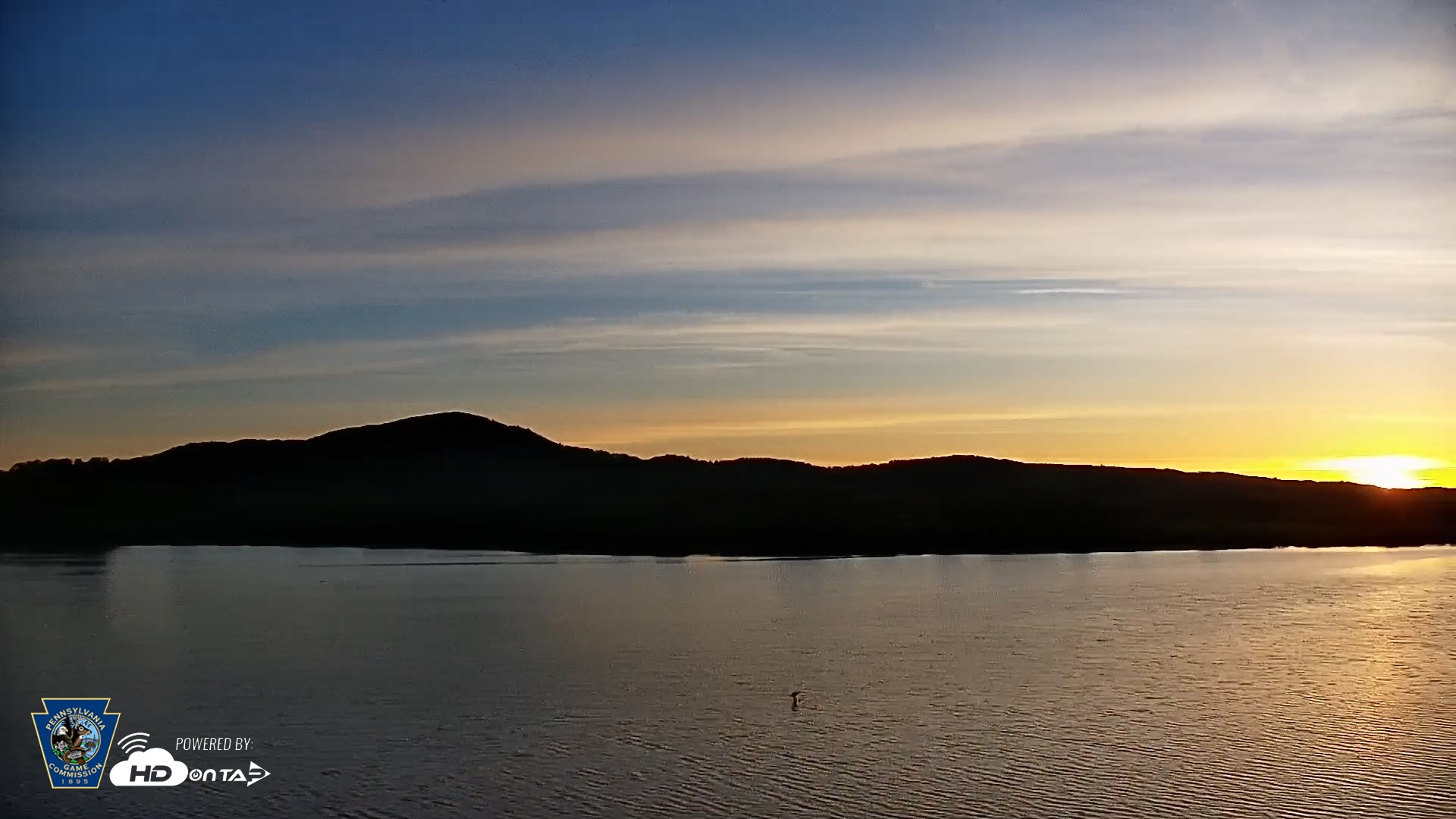 Snapshot of Pennsylvania Snow Geese Live Webcam taken Apr 28, 2026, 6:12am EDT