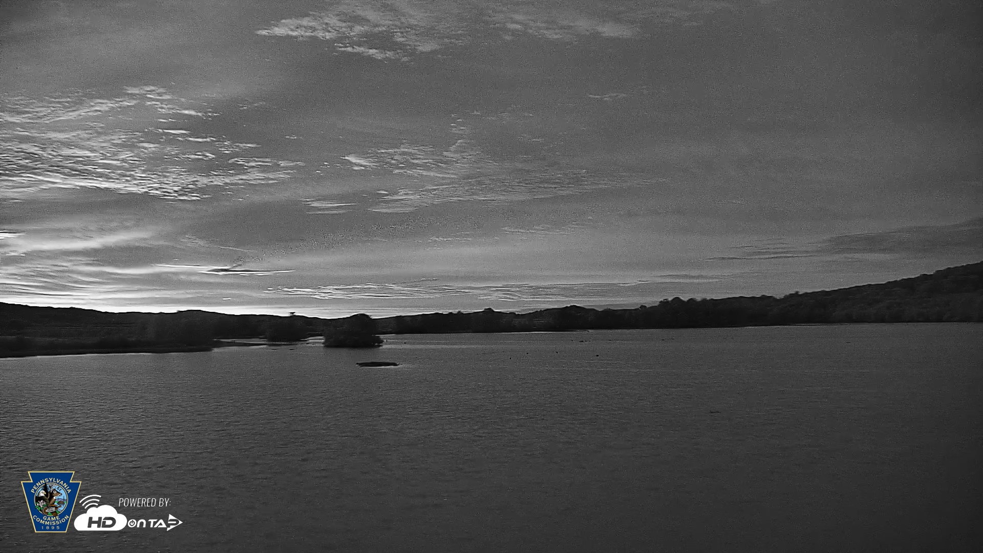 Snapshot of Pennsylvania Snow Geese Live Webcam taken Sep 23, 2026, 6:25am EDT