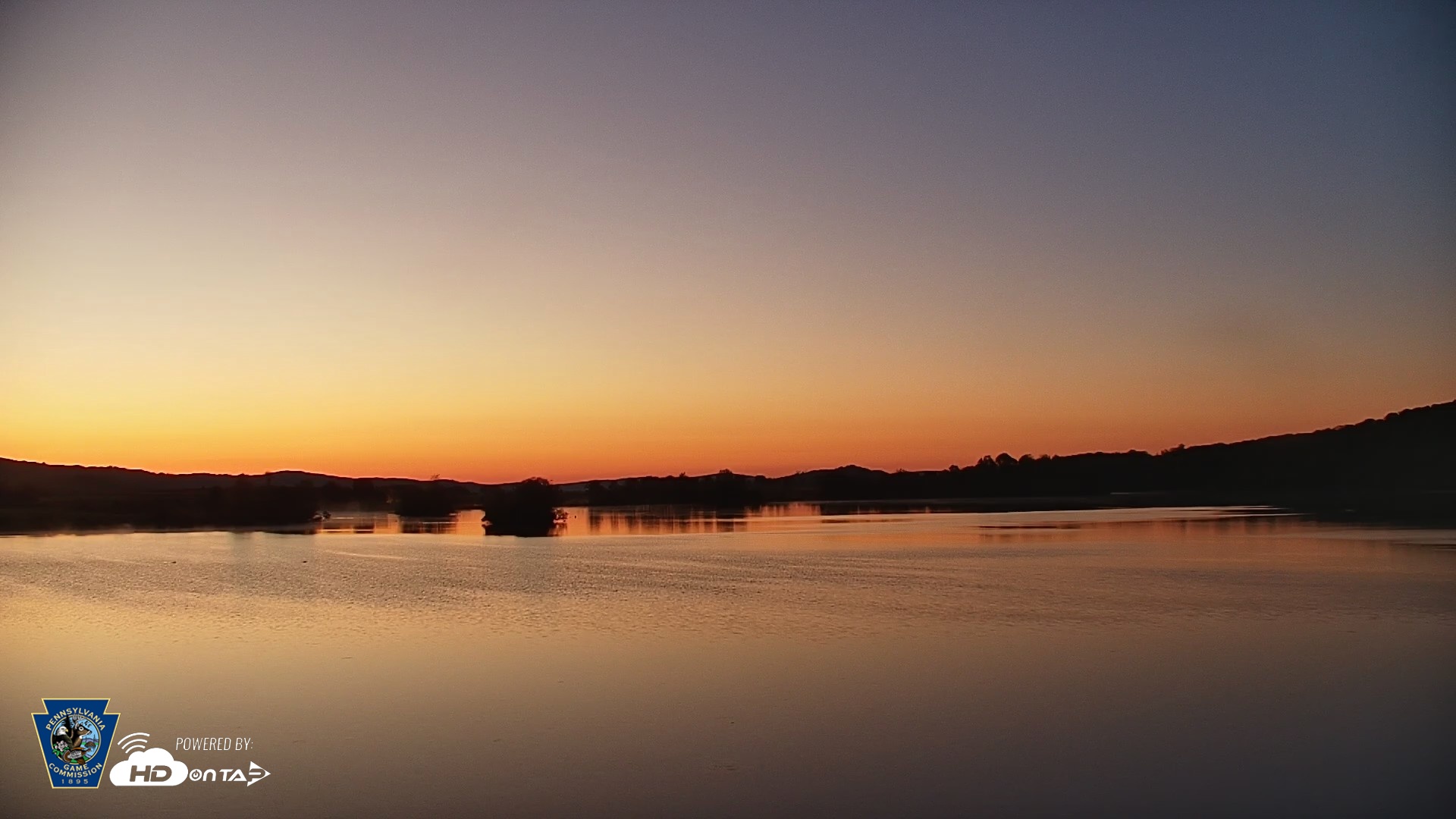 Snapshot of Pennsylvania Snow Geese Live Webcam taken May 1, 2026, 5:49am EDT