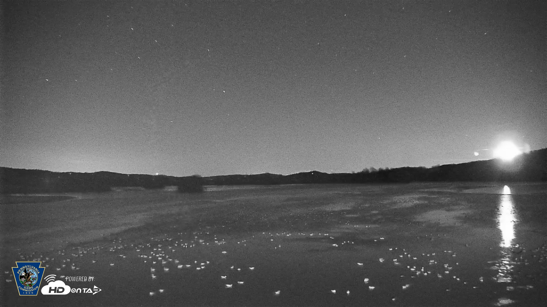 Snapshot of Pennsylvania Snow Geese Live Webcam taken Feb 19, 2025, 12:20am EST