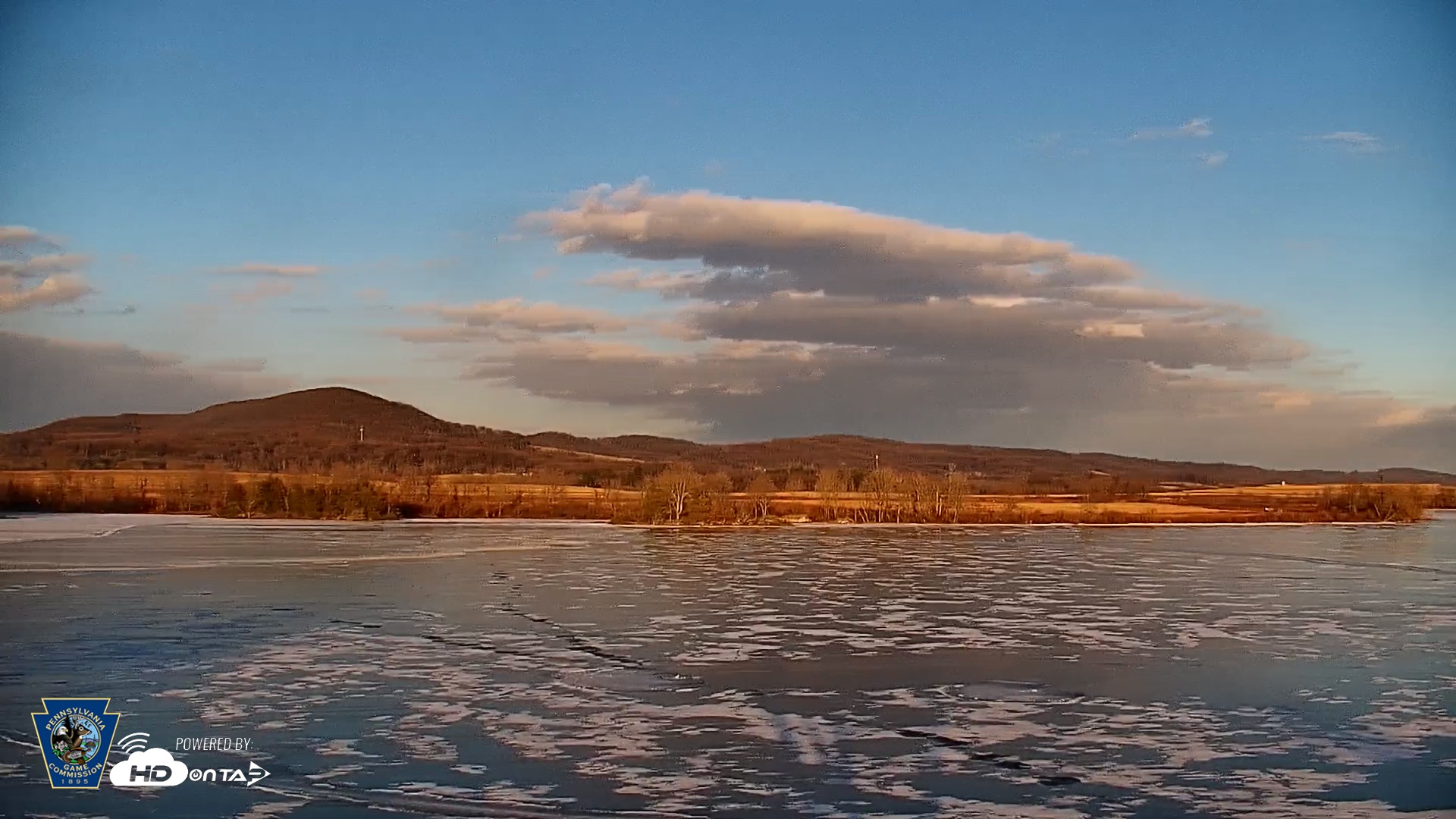 Snapshot of Pennsylvania Snow Geese Live Webcam taken Jan 2, 2026, 4:02pm EST