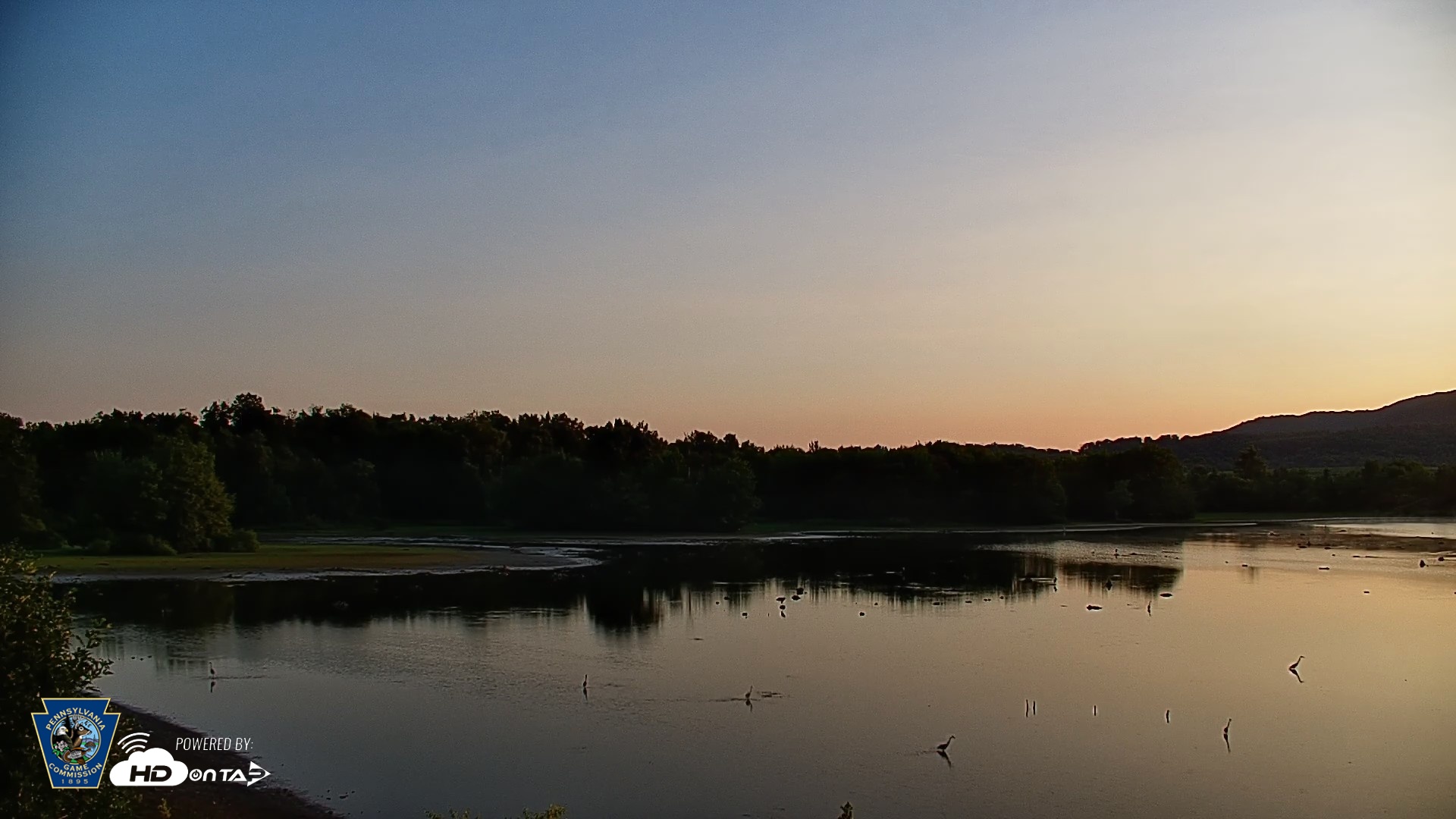 Snapshot of Pennsylvania Snow Geese Live Webcam taken Jul 24, 2026, 6:12am EDT