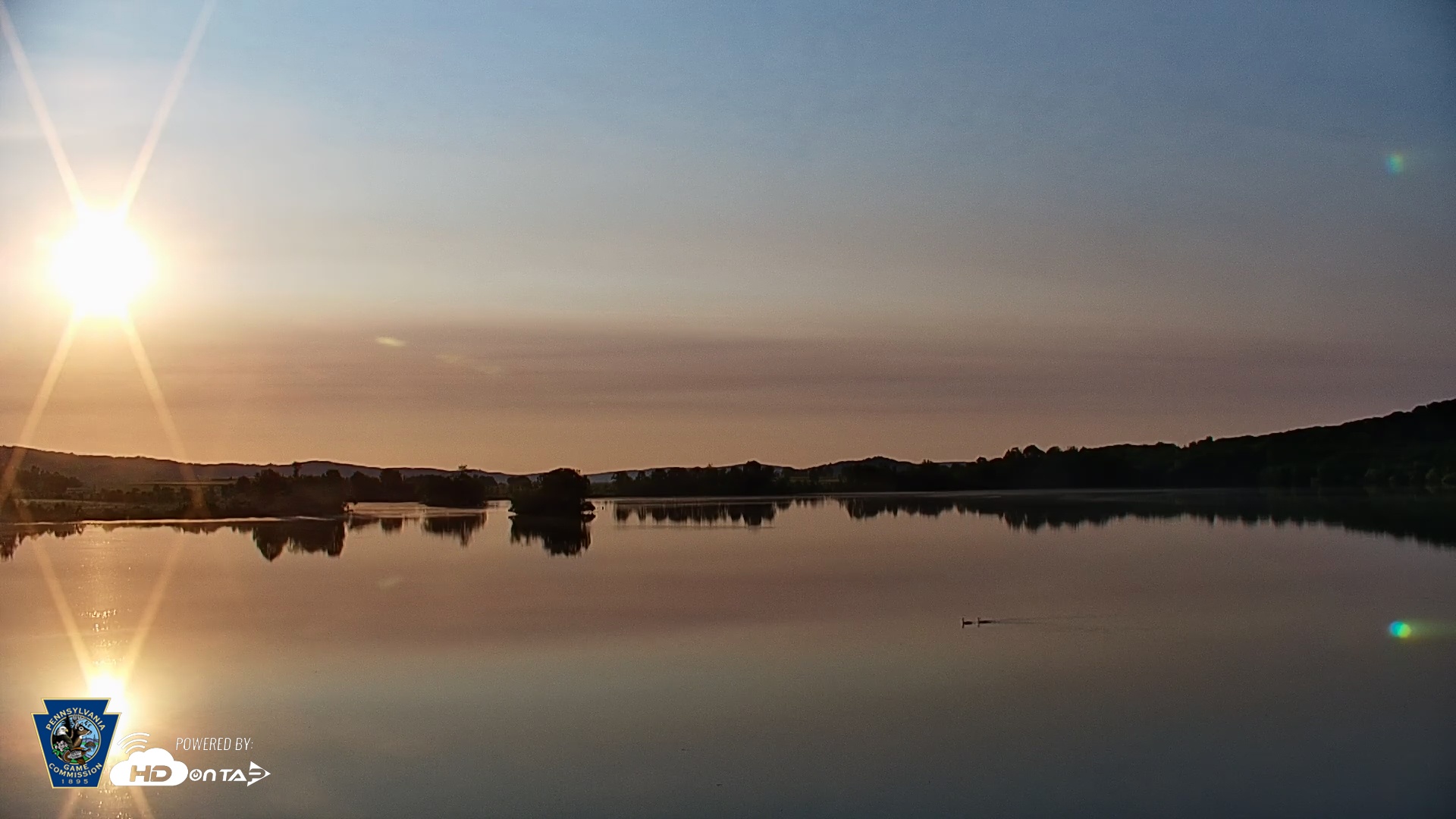 Snapshot of Pennsylvania Snow Geese Live Webcam taken Jun 3, 2025, 6:33am EDT