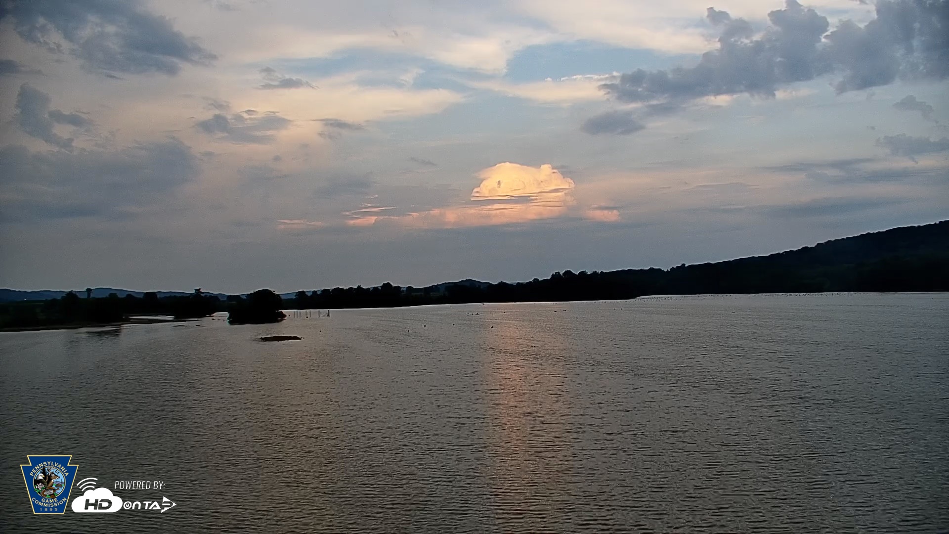 Snapshot of Pennsylvania Snow Geese Live Webcam taken Jul 5, 2026, 7:33pm EDT