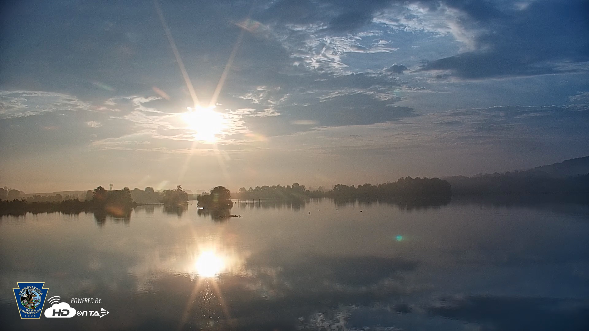 Snapshot of Pennsylvania Snow Geese Live Webcam taken Sep 1, 2026, 7:14am EDT