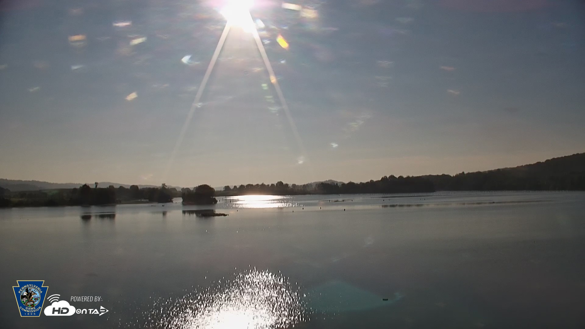Snapshot of Pennsylvania Snow Geese Live Webcam taken Aug 21, 2026, 8:08am EDT