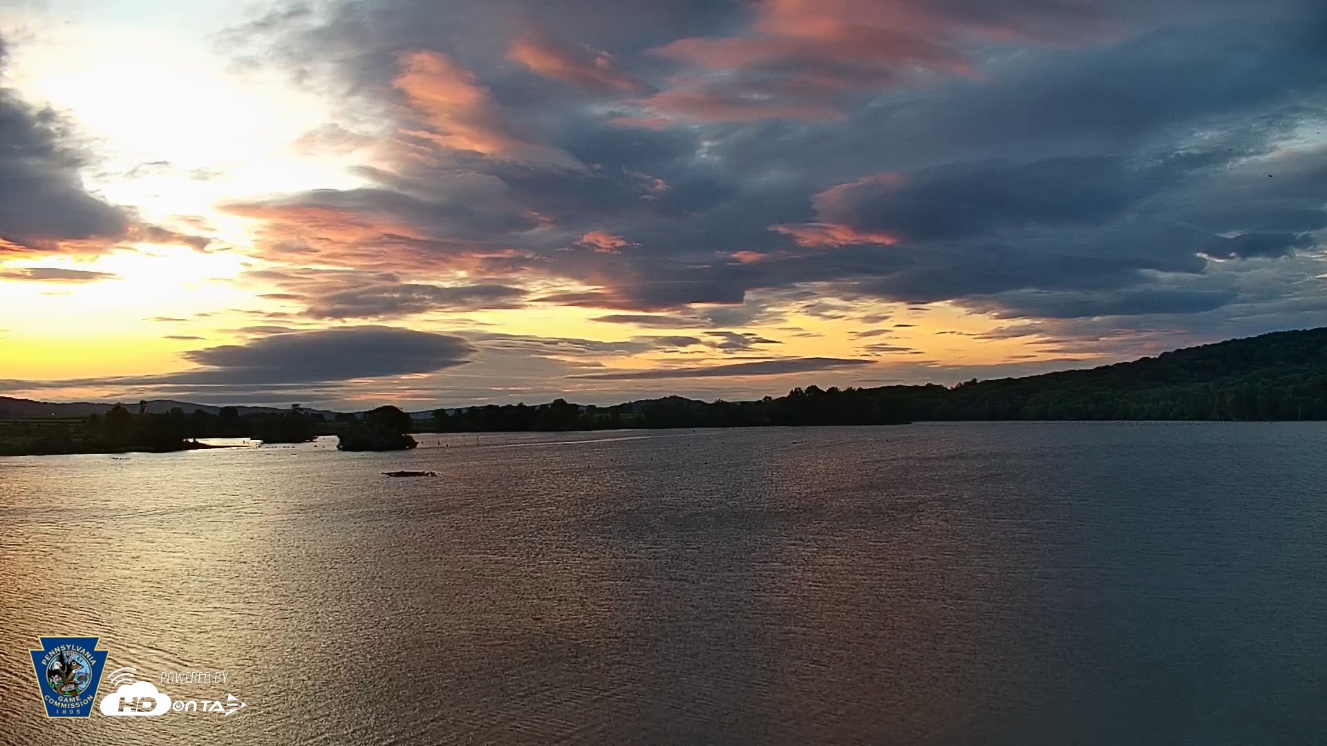 Snapshot of Pennsylvania Snow Geese Live Webcam taken Jul 30, 2026, 6:10am EDT