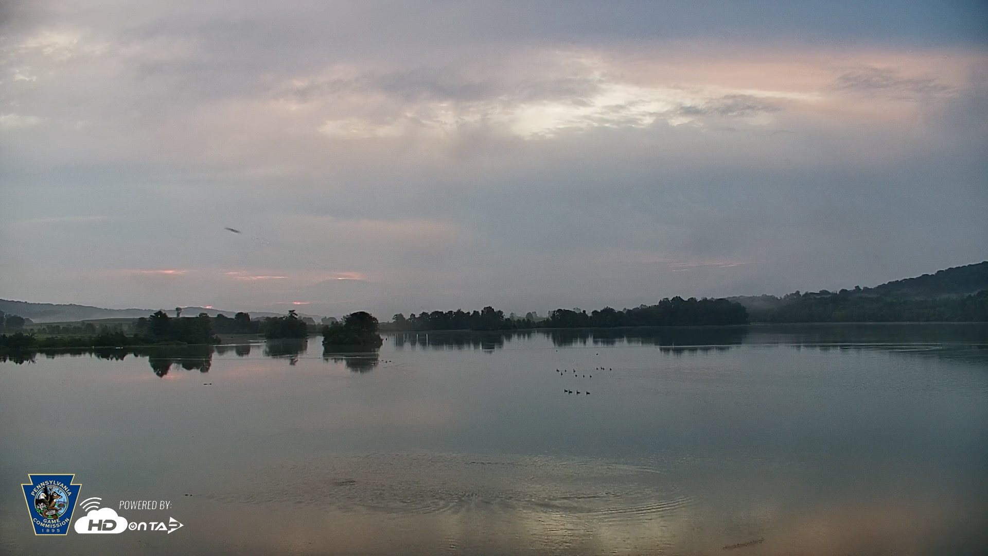 Snapshot of Pennsylvania Snow Geese Live Webcam taken Aug 28, 2026, 6:34am EDT